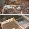 Ликвазим 5 л L05LHK2021 Фото жироуловителя ДО и ВО ВРЕМЯ применения биопрепарата