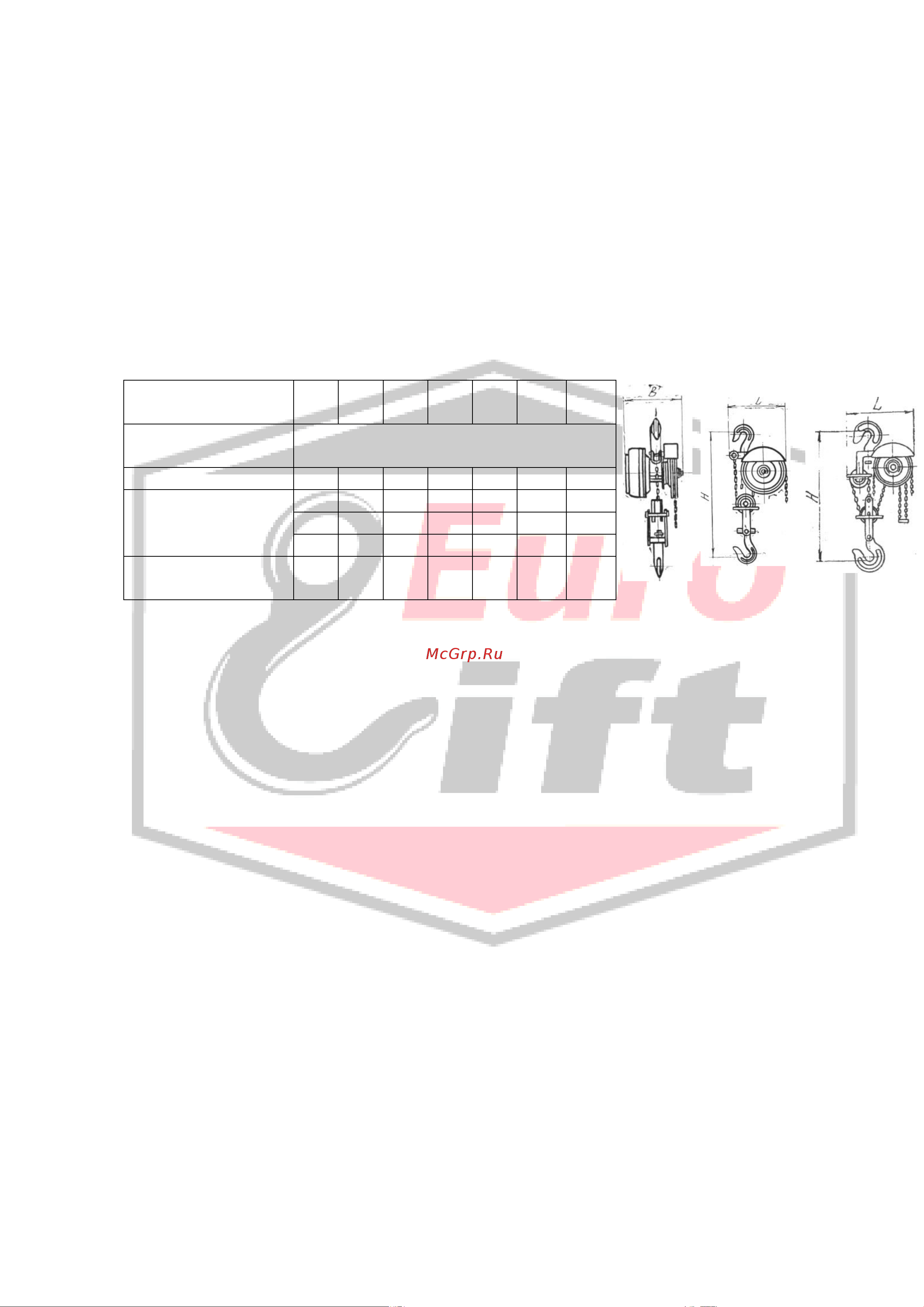 Euro-lift ТВ 00000080 (0.5 т, 6 м) Инструкция к тали EURO-LIFT ТВ 00022885 онлайн [2/4] 839773