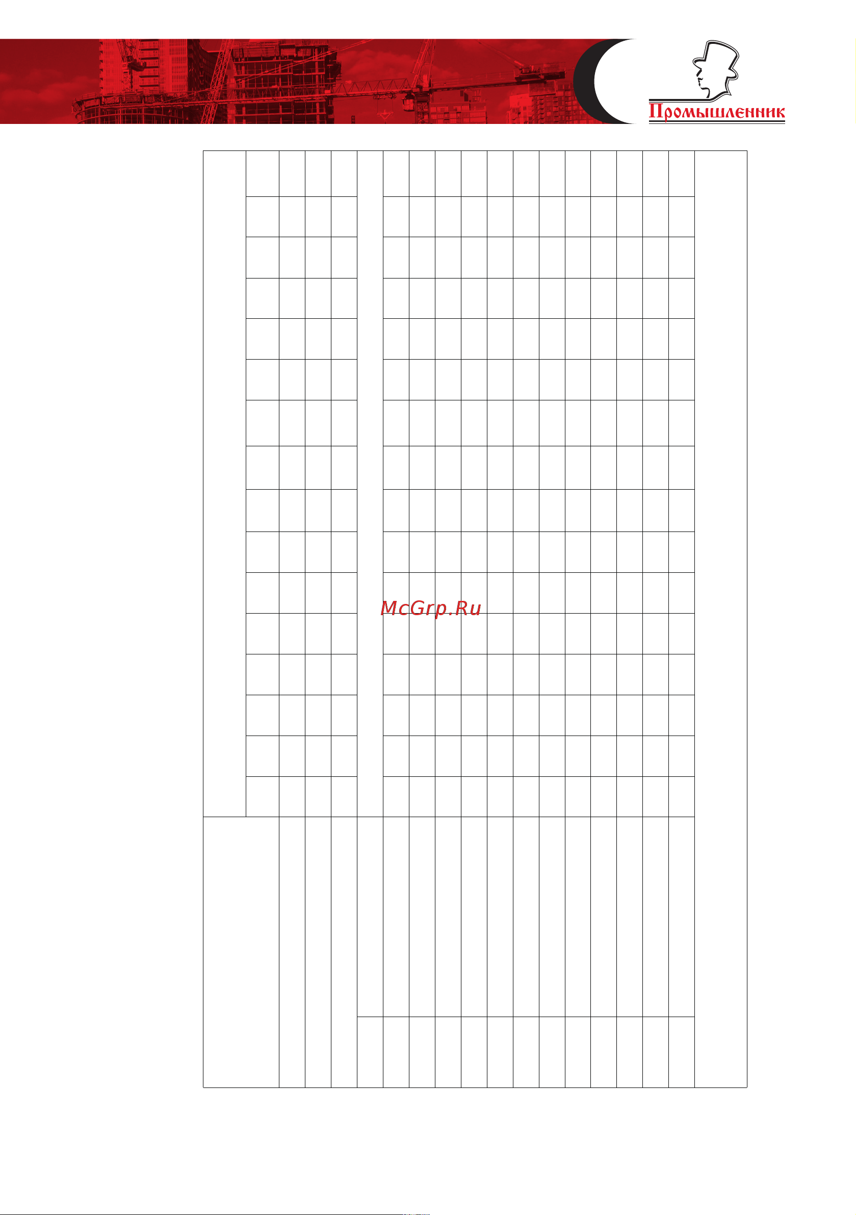 Промышленник ВСП 2,0х2,0 h=8,8м ВП2088 Паспорт онлайн [13/16] 858558