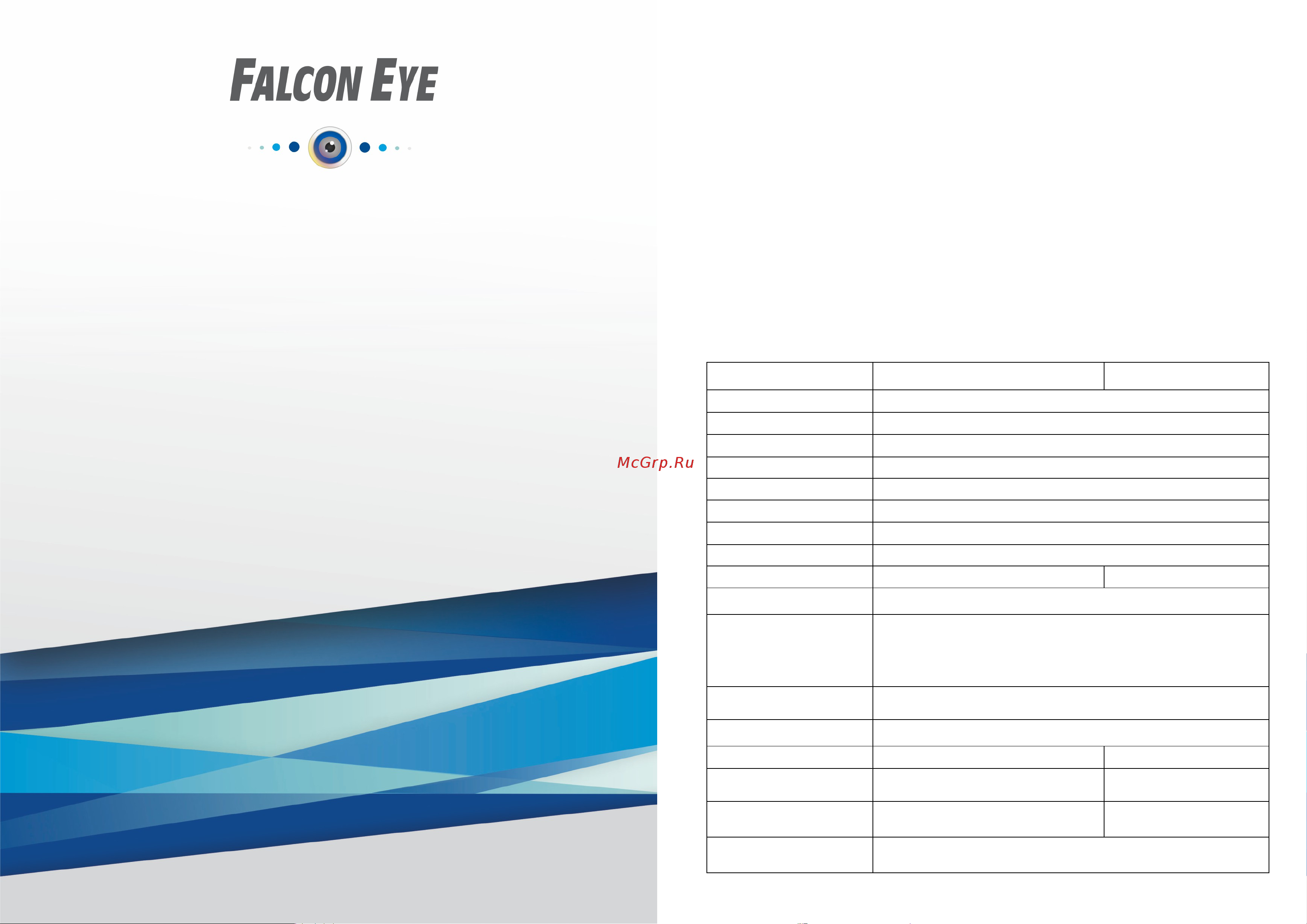 Falcon Eye Spaik 1 двухмегапиксельная 00-00169961 Паспорт онлайн