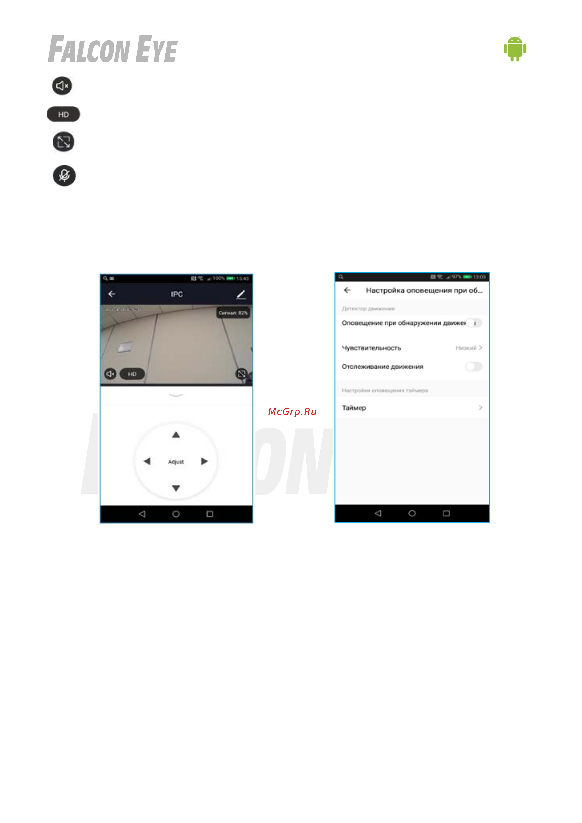 Falcon Eye Spaik 1 двухмегапиксельная 00-00169961 Инструкция к товару онлайн [10/13] 841653