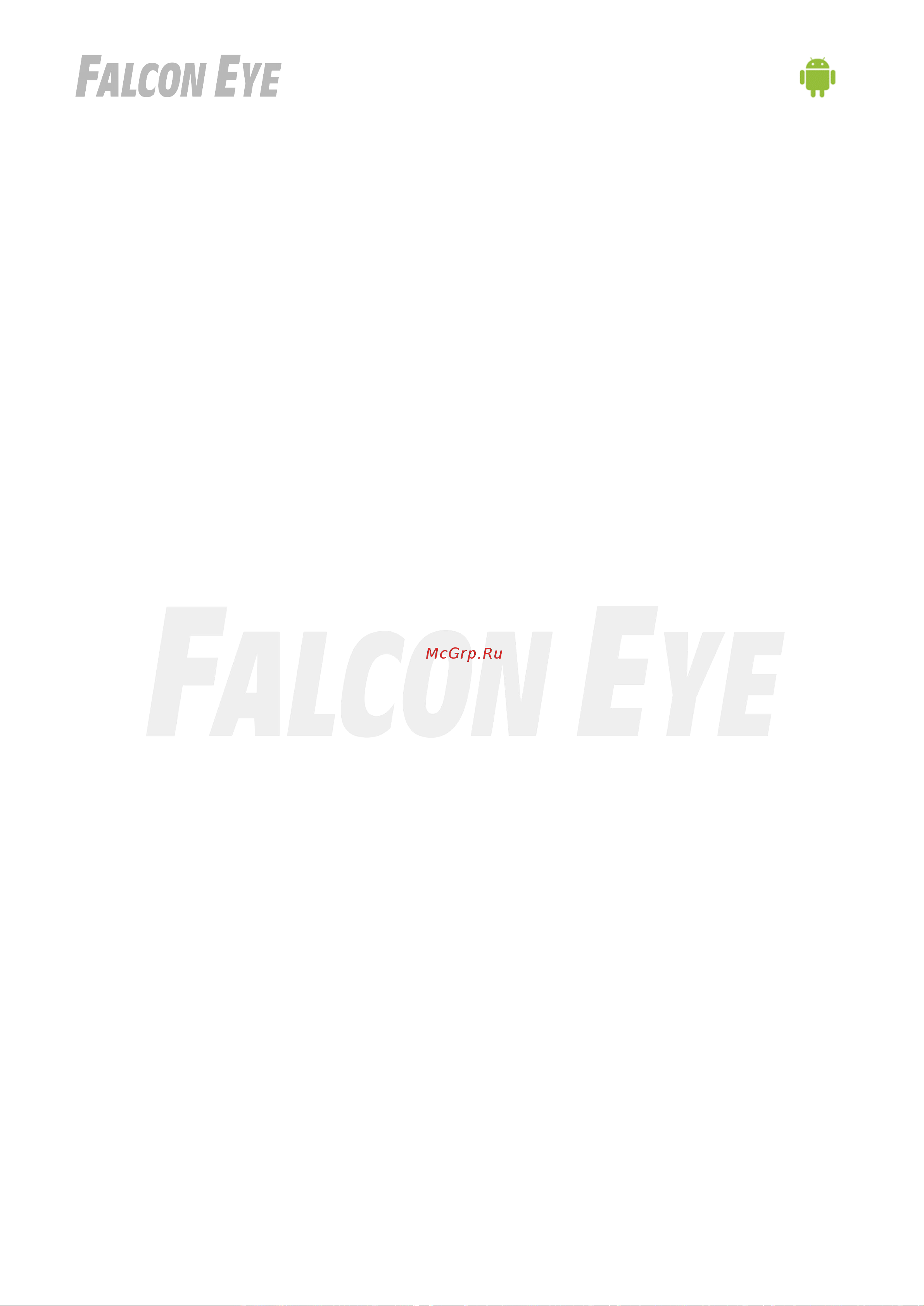 Falcon Eye Spaik 1 двухмегапиксельная 00-00169961 Инструкция к товару онлайн [13/13] 841653