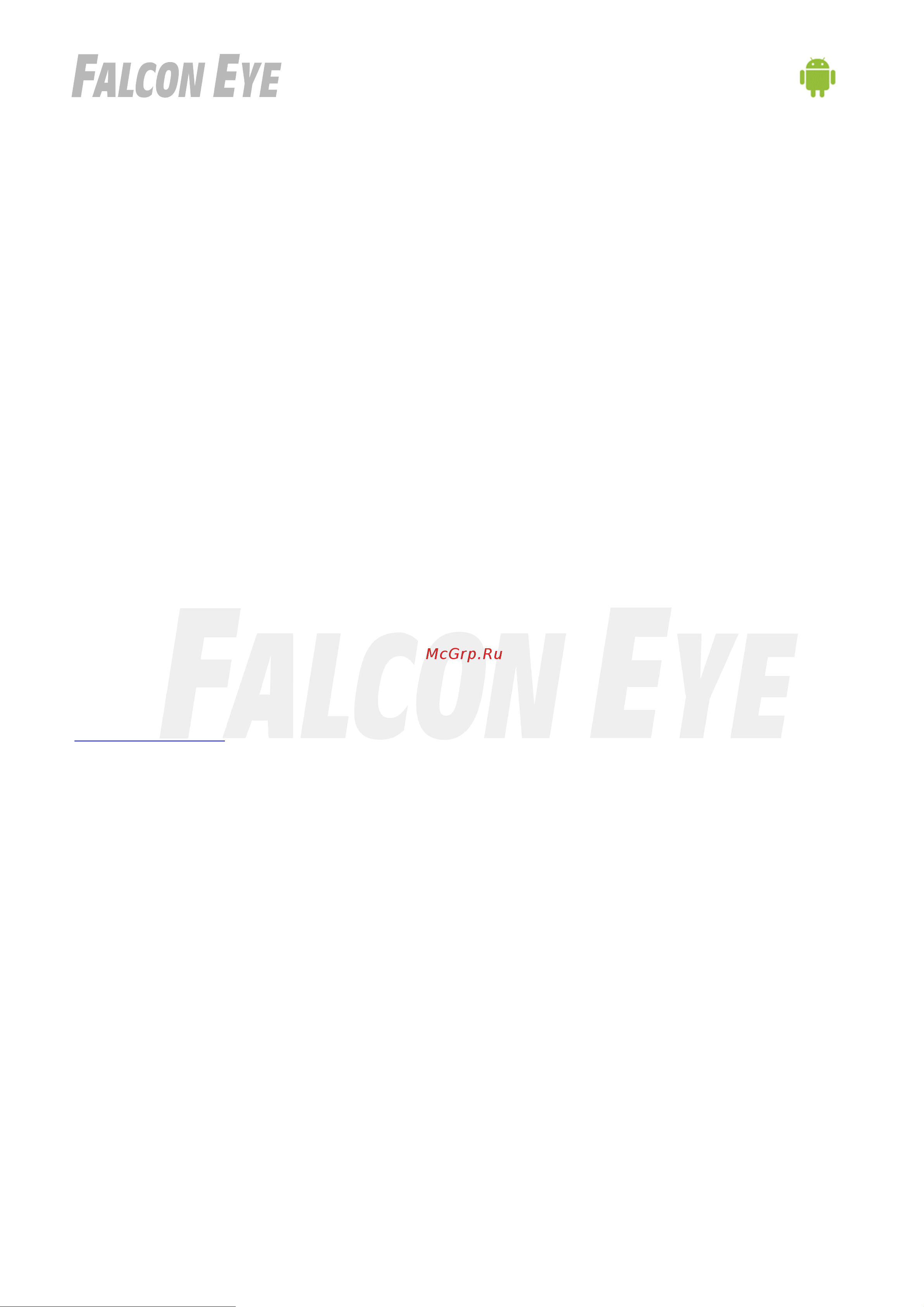 Falcon Eye Spaik 1 двухмегапиксельная 00-00169961 Инструкция к товару онлайн [4/13] 841653