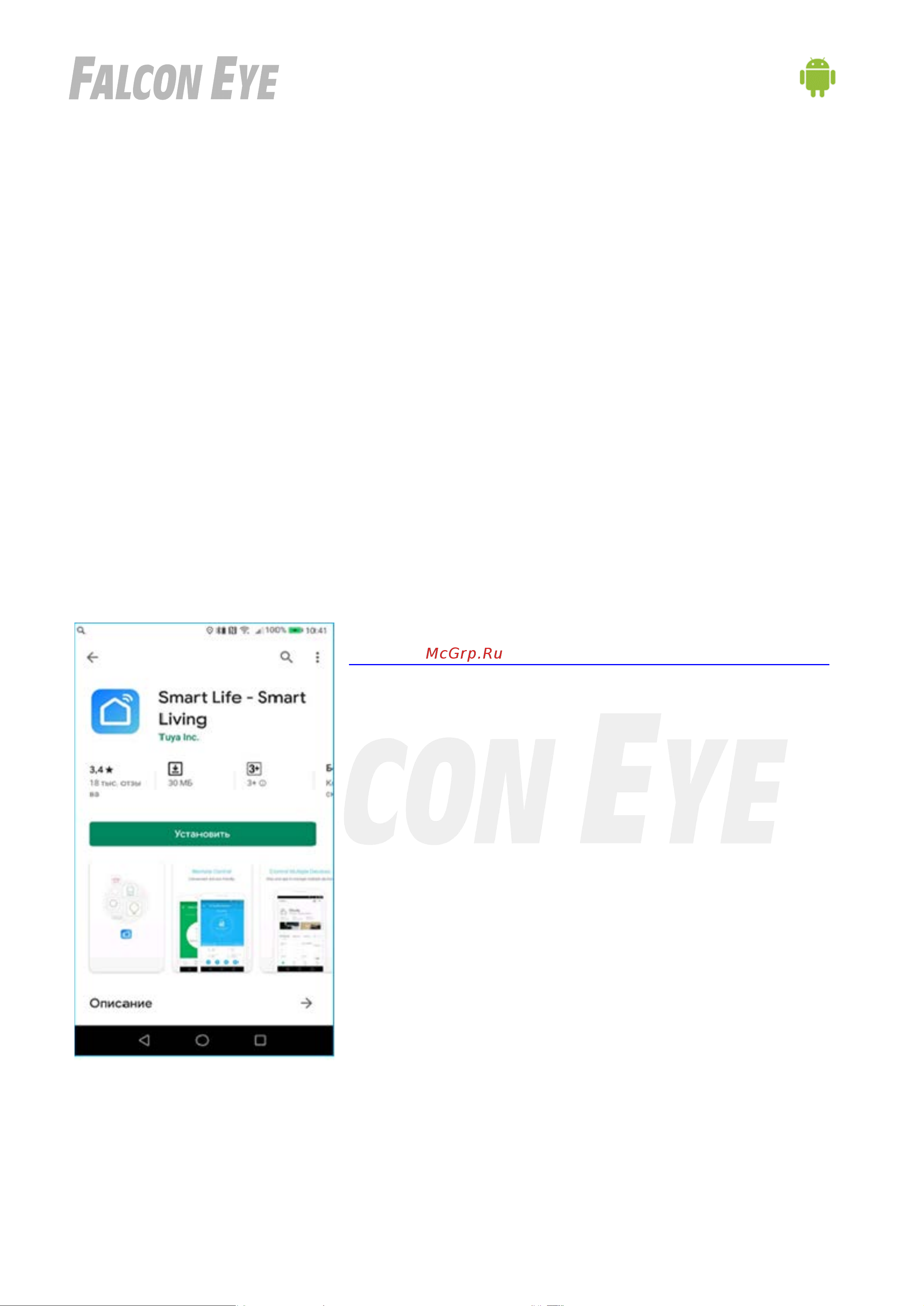 Falcon Eye Spaik 1 двухмегапиксельная 00-00169961 Инструкция к товару онлайн [5/13] 841653