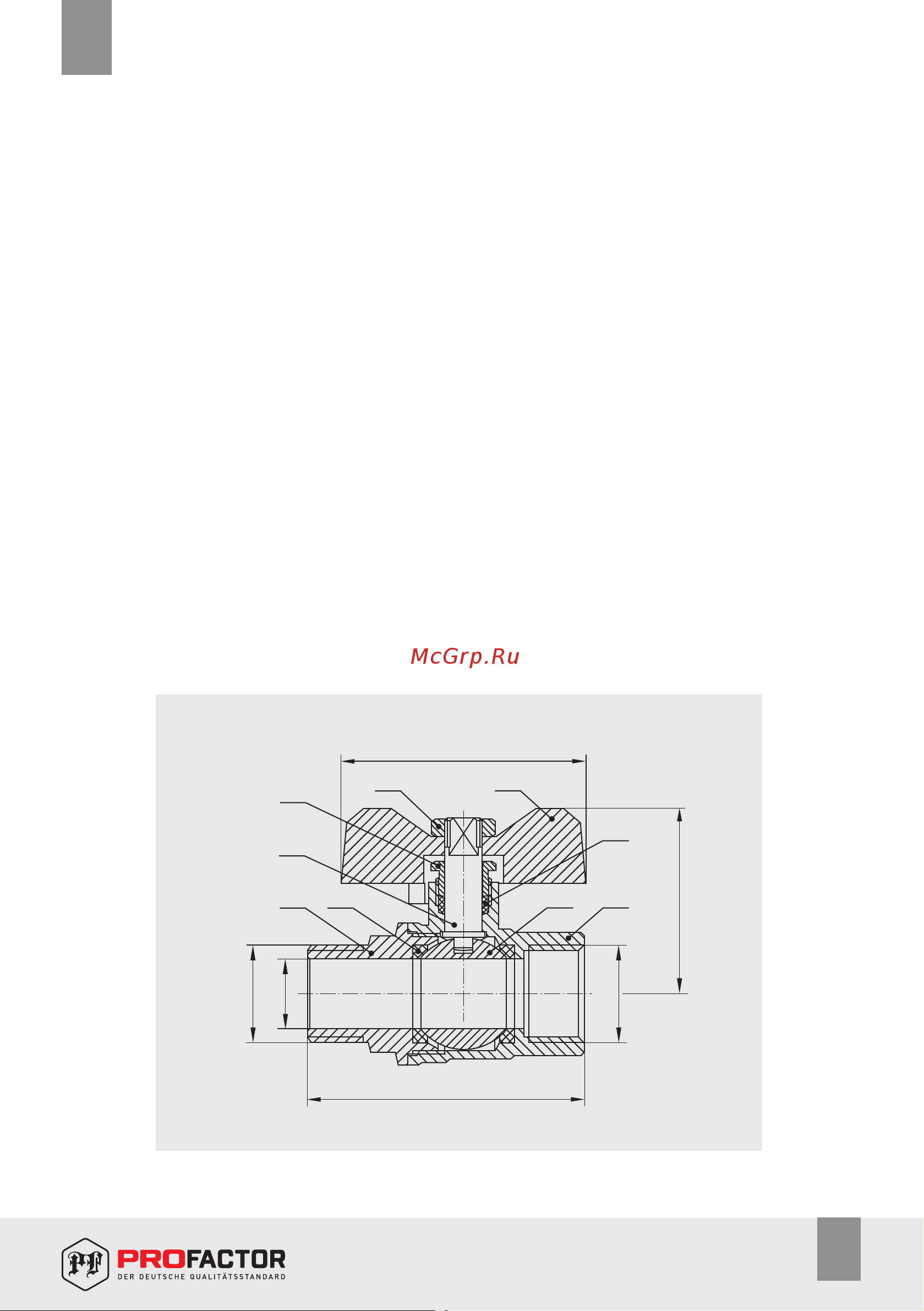 PROFACTOR PF STANDARD ручка рычаг в/в 2 PF FBV 314 Технический паспорт онлайн [3/9] 841848