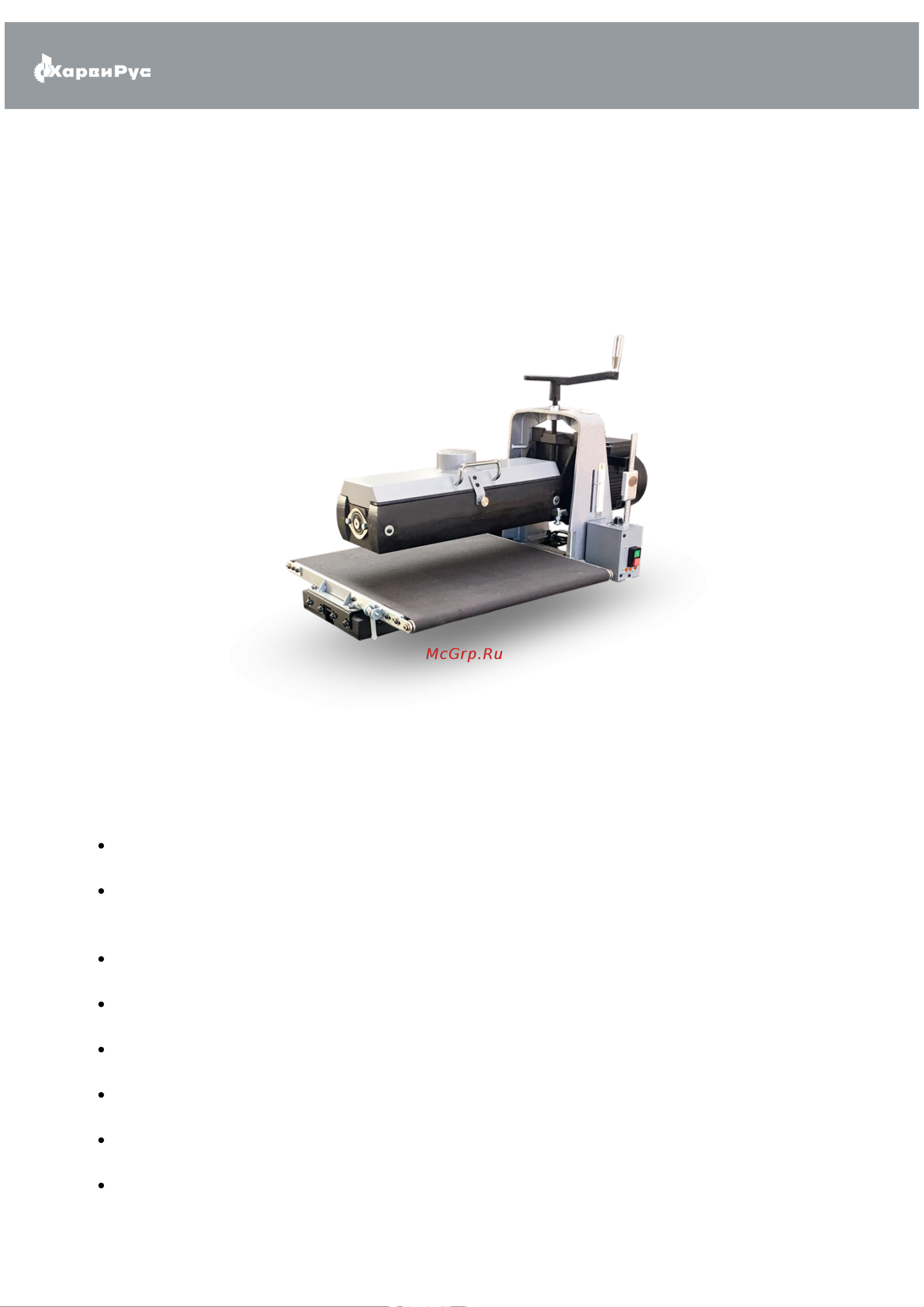 WARRIOR W0605 1,1 кВт 230B 0701010147000 Паспорт онлайн