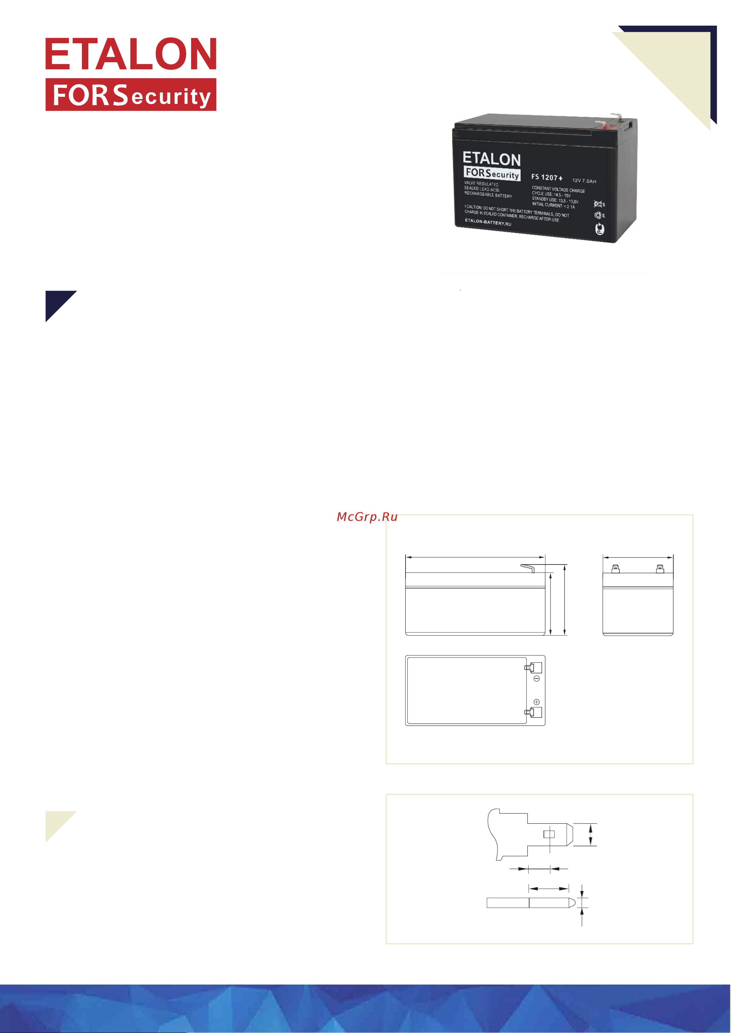Etalon Battery 00-00006439 спецификация онлайн
