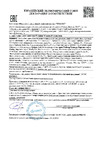HONEYCOMB Ironbox Mini-300 M-KSV3109 Декларация