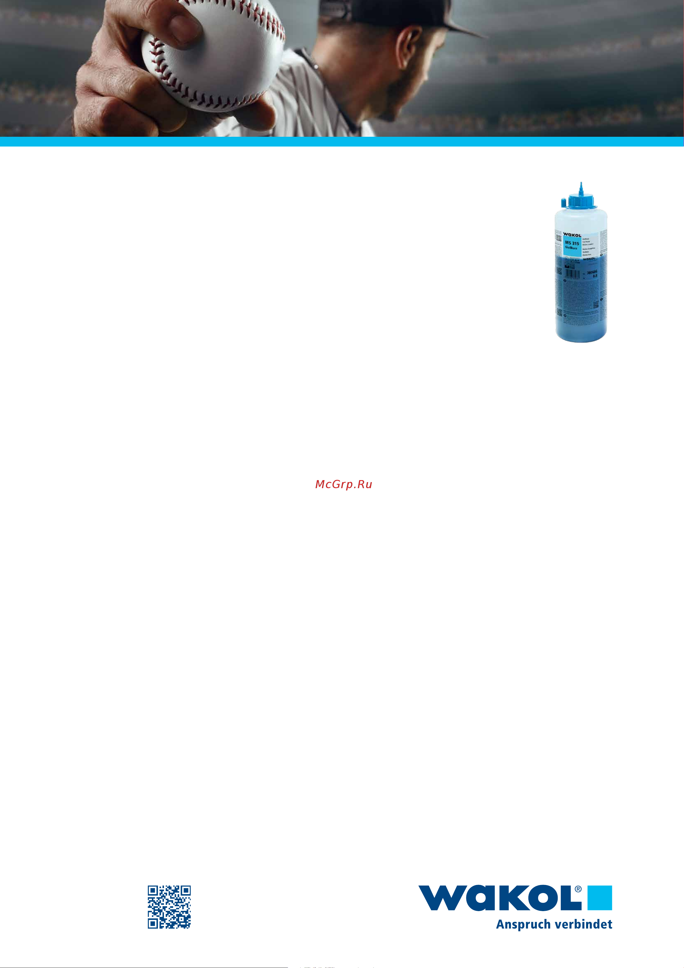 WAKOL MS 315 0,8 кг 360606 Презентация онлайн [2/2] 844138