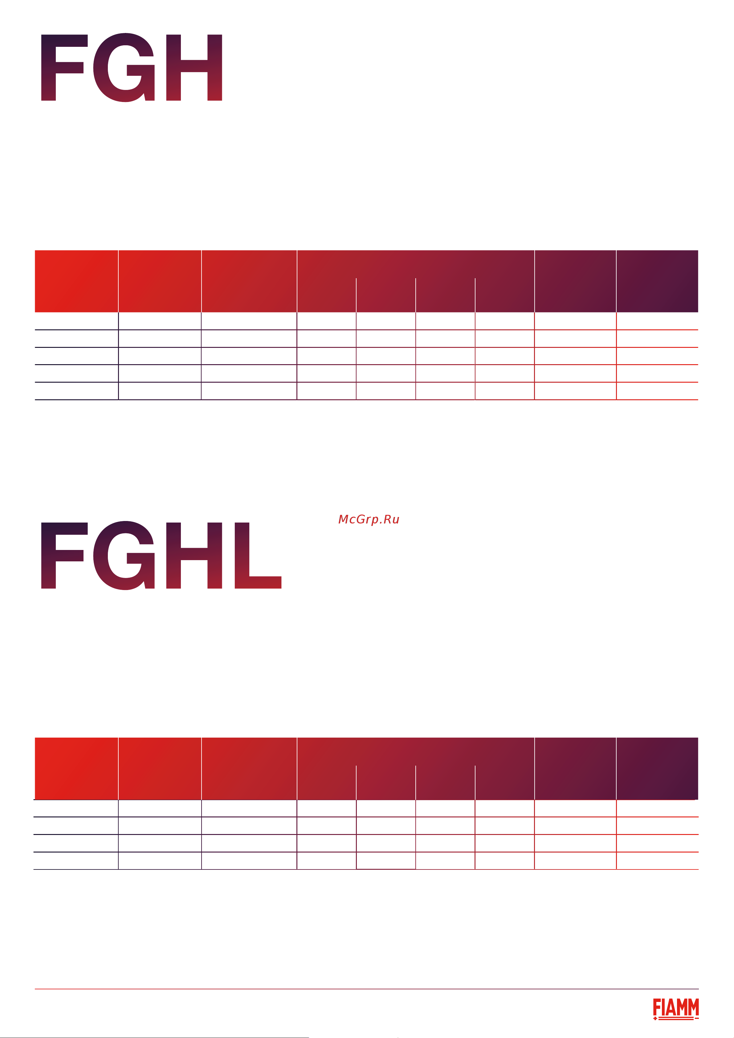 Fiamm 12FGH65 Техническое описание серии FGH онлайн [2/2] 846169