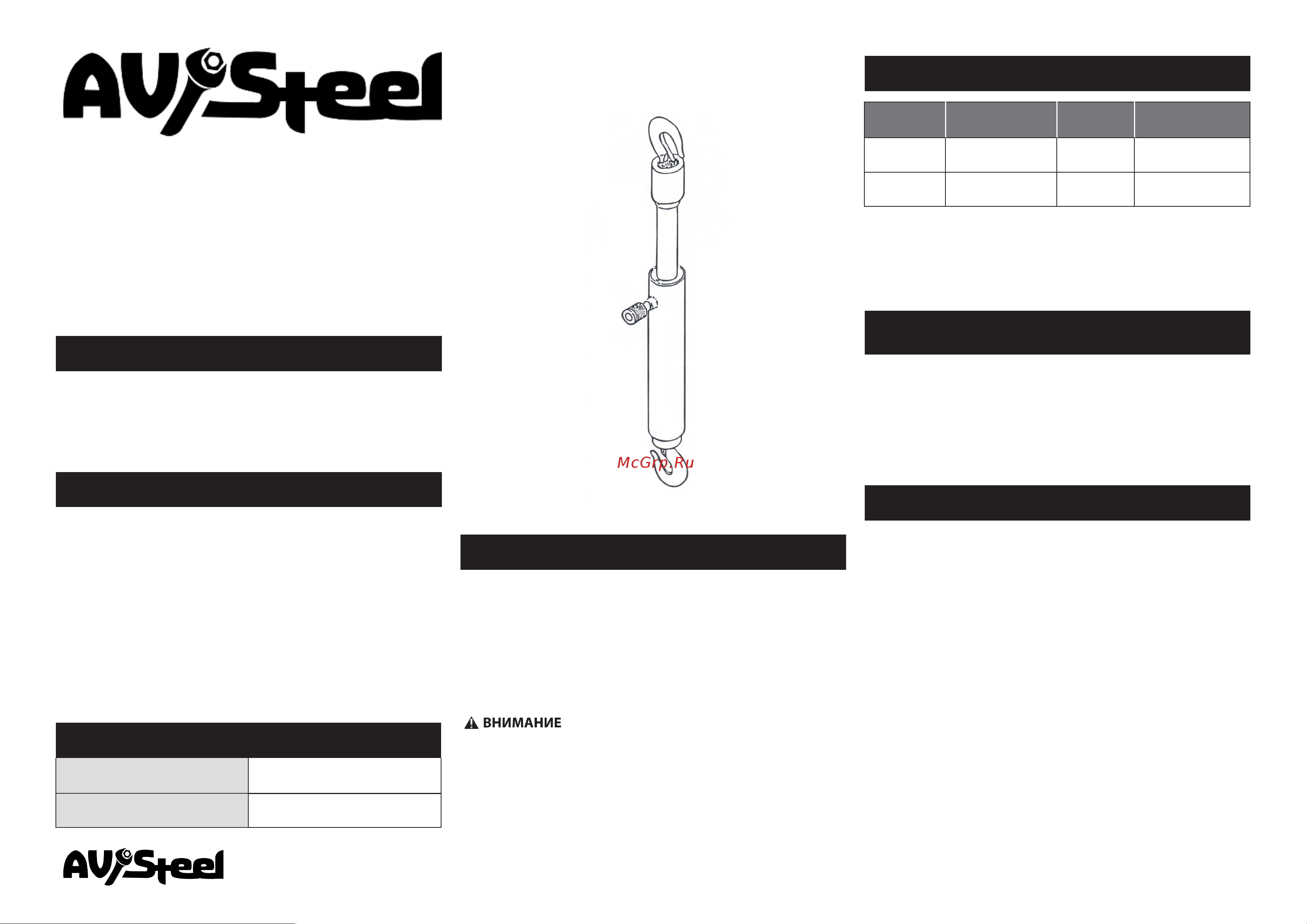 AV Steel 10т AV-951110 AV-951110_Instruction_WORK онлайн