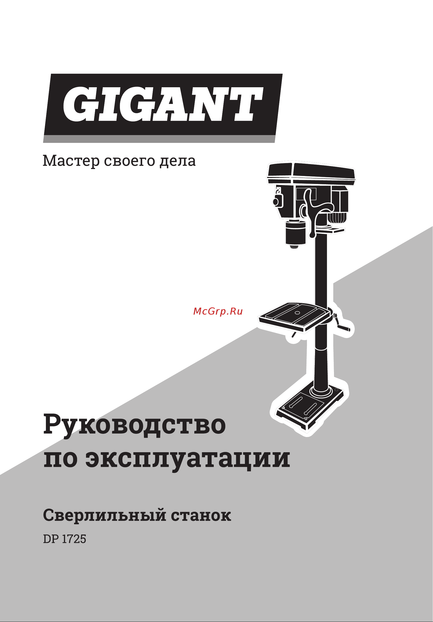 Gigant DP1725 Инструкция к Gigant DP1725 онлайн
