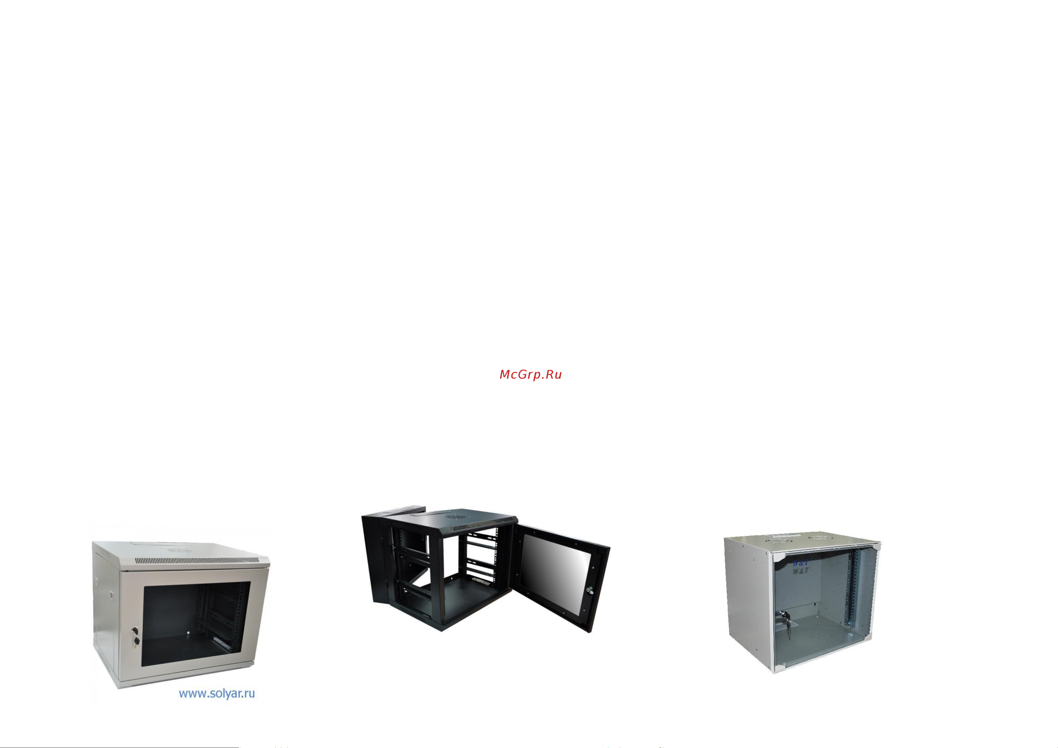 W&T 19 дюймов 6U 600x450мм черный C066045BWTWOF Паспорт онлайн