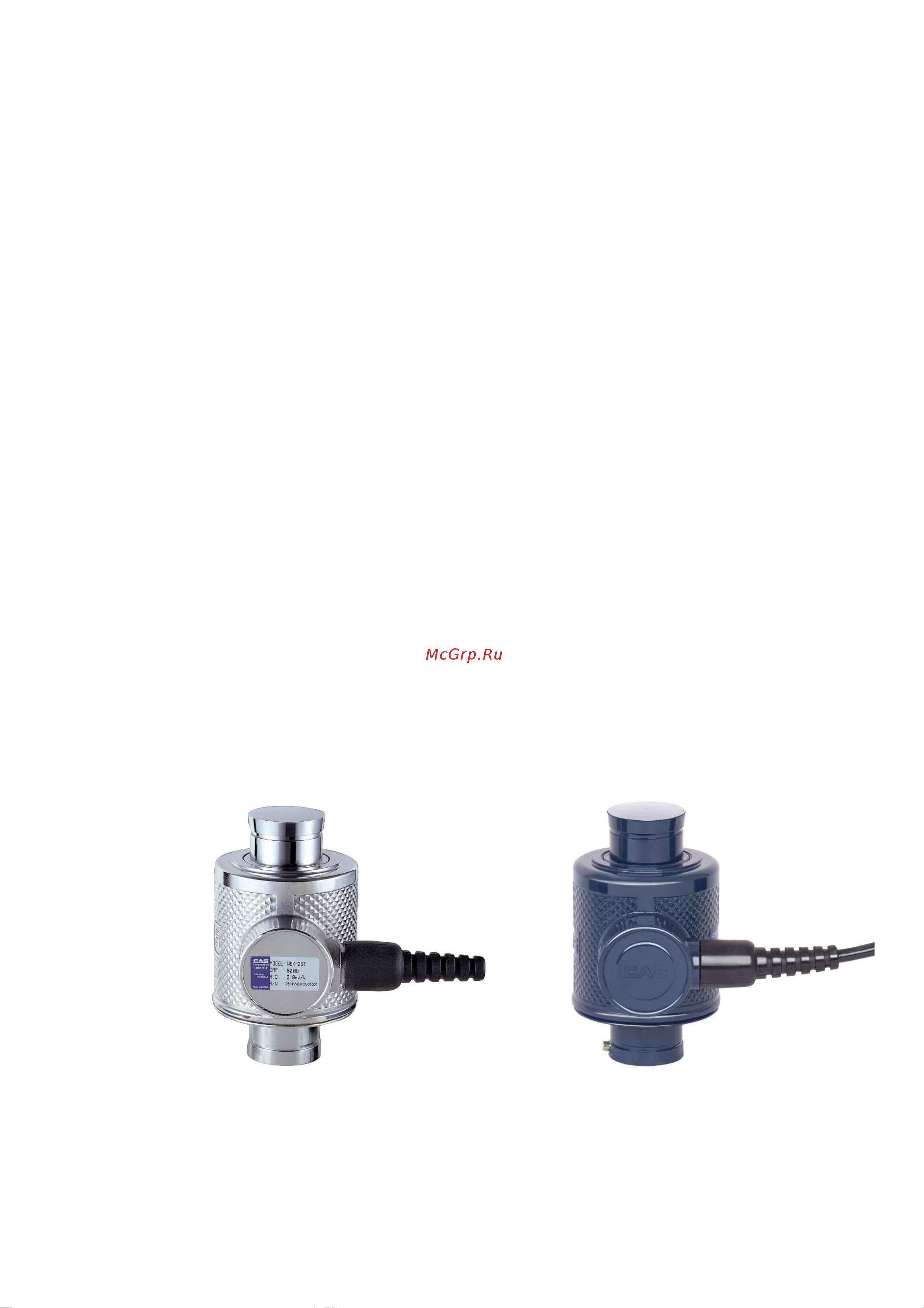 CAS LLDWBC306GCPJ001 Описание типа онлайн