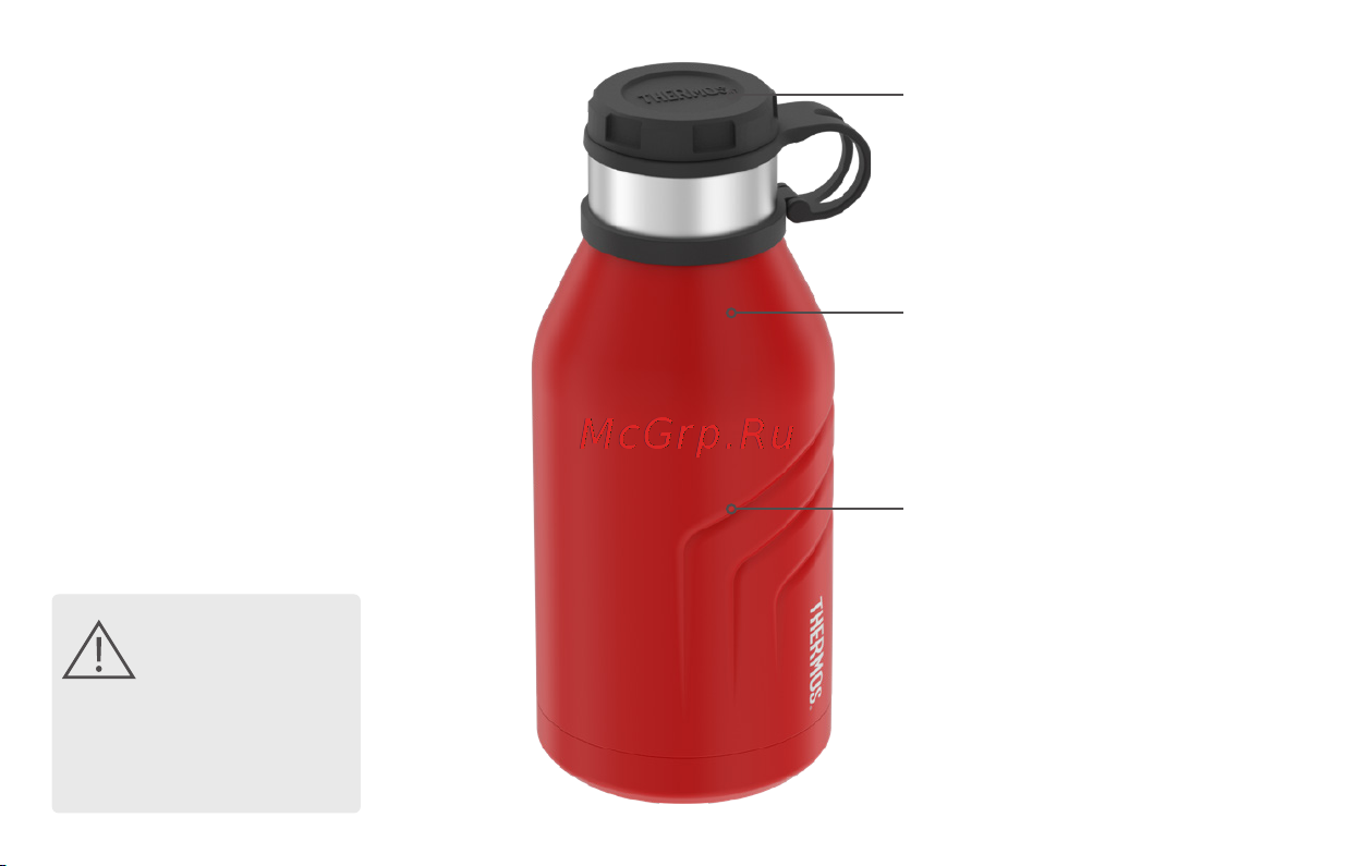 Thermos TS4800 OP 0.94 литра, оранжевая 562951 Инструкция THERMOS TS-4800 онлайн [6/16] 850000