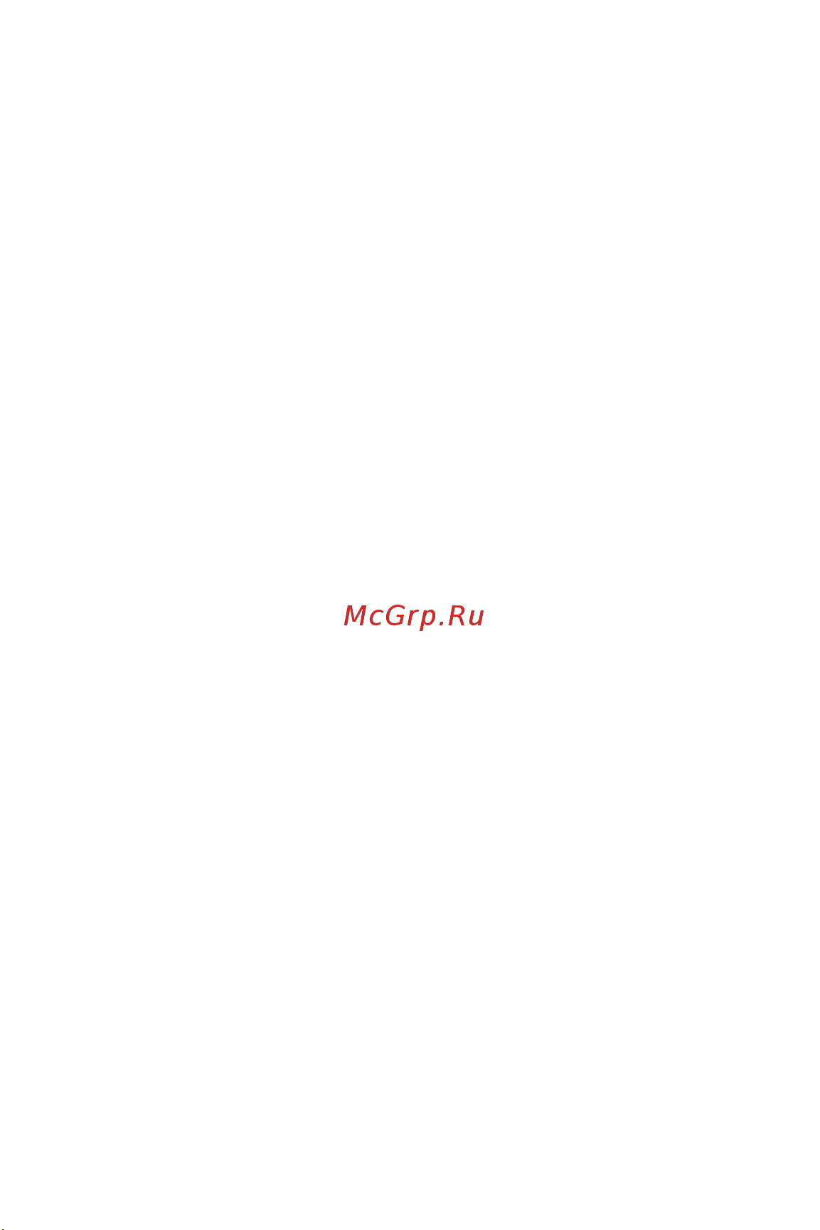 iCartool , Fe+Zn-nFe-Fe, 3%, IC-T400 Инструкция по эксплуатации онлайн [6/21] 850807