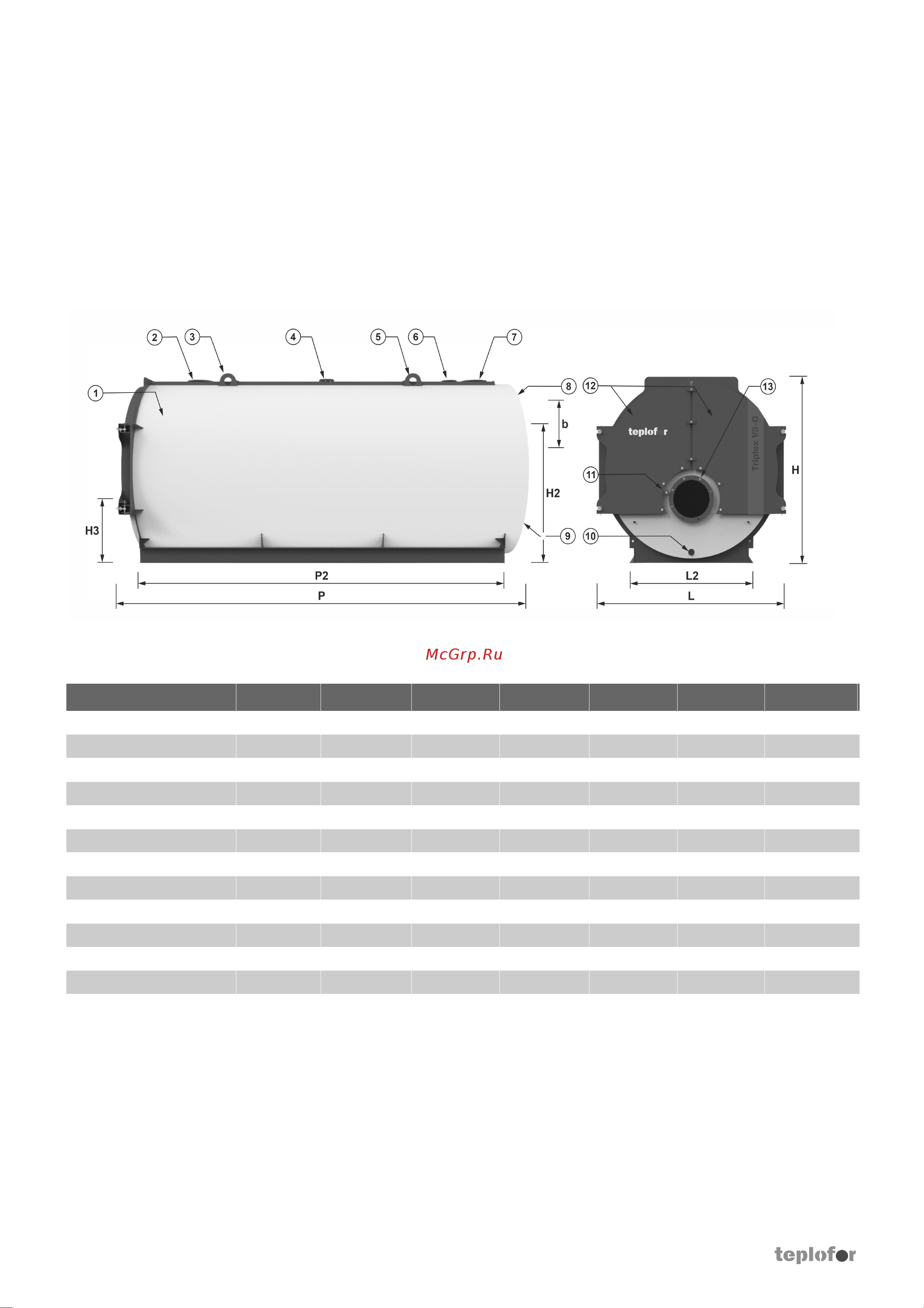 Teplofor Triplex V3-D 12000 (12000 кВт, давление 6 бар) 8880134 Паспорт онлайн [11/40] 851398