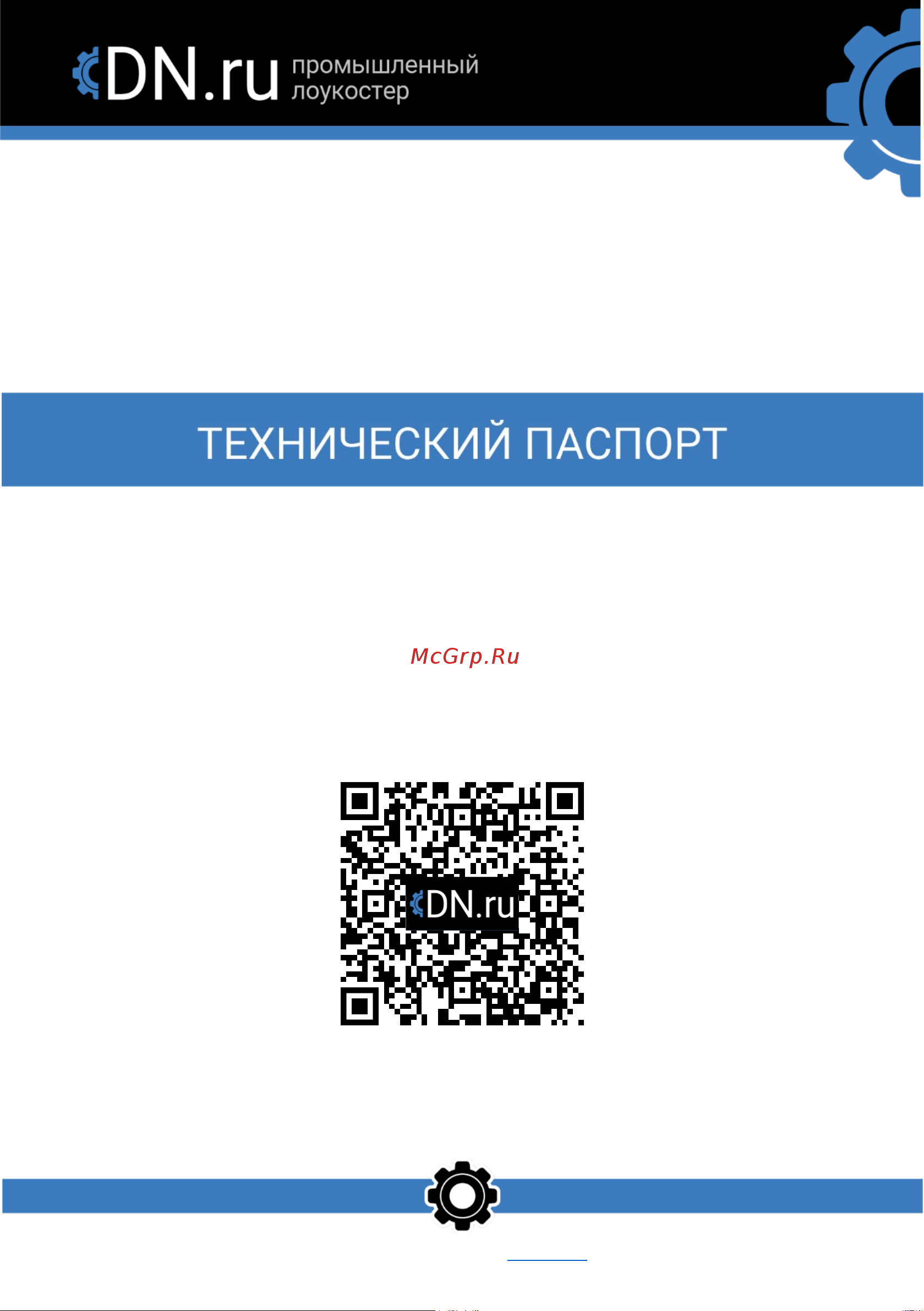 DN.ru 003 24в D300-00719 Технический паспорт онлайн