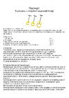 Hongli H6S 4"-6" 311202 H6S