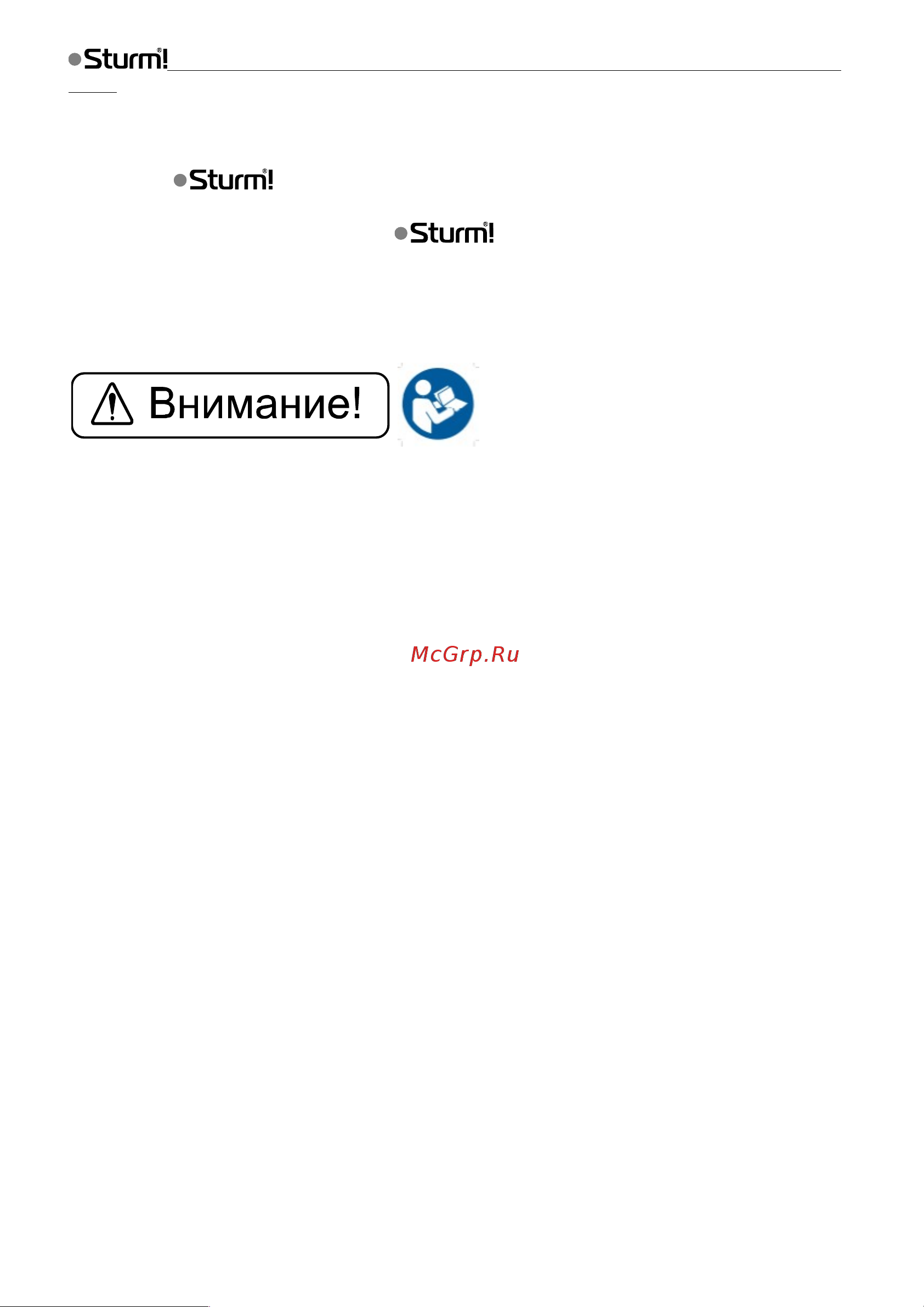 Sturm WP3204 Инструкция к Sturm WP3204 онлайн [3/14] 852719