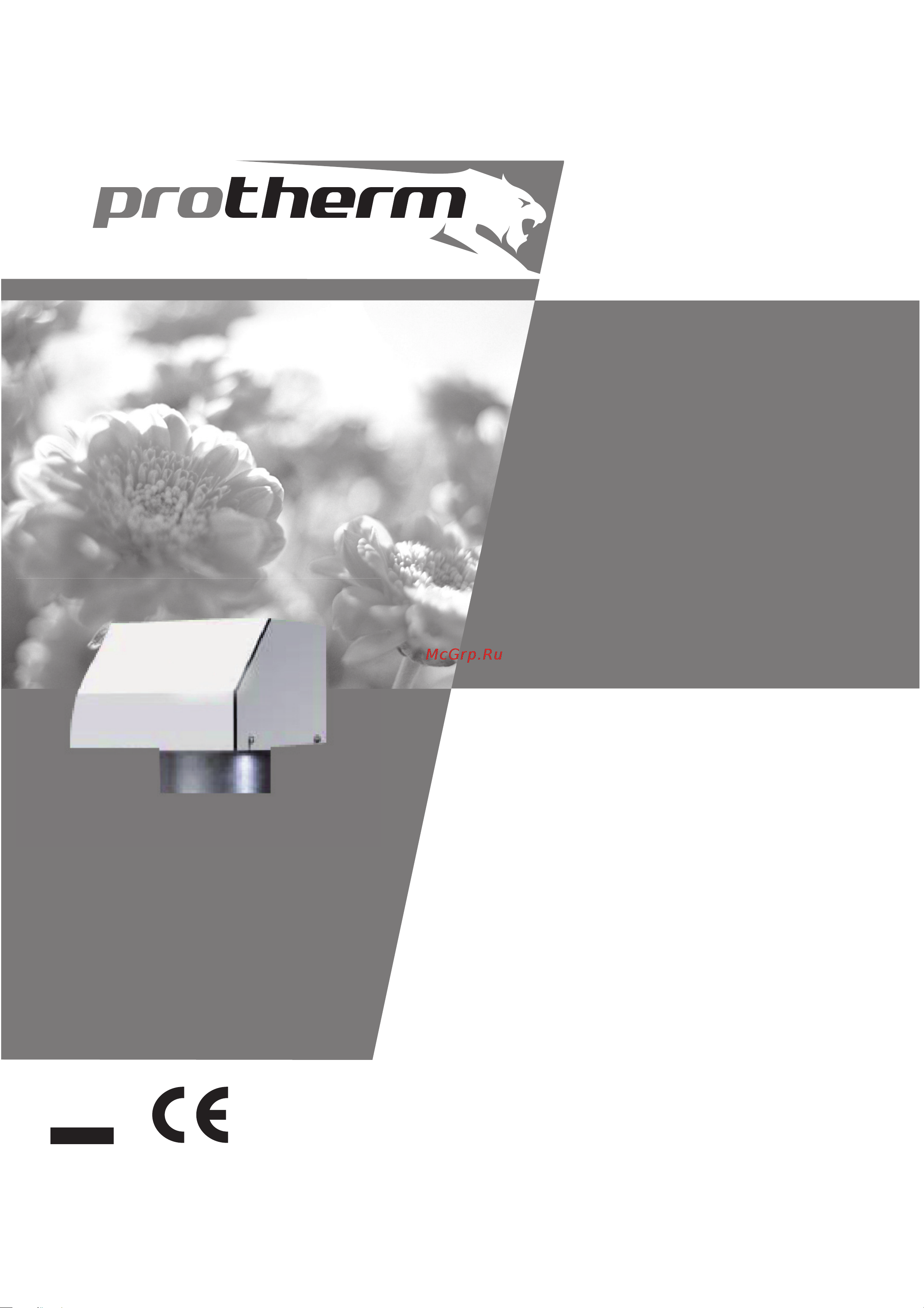 Protherm 2869 Инструкция к товару онлайн [2/13] 853029