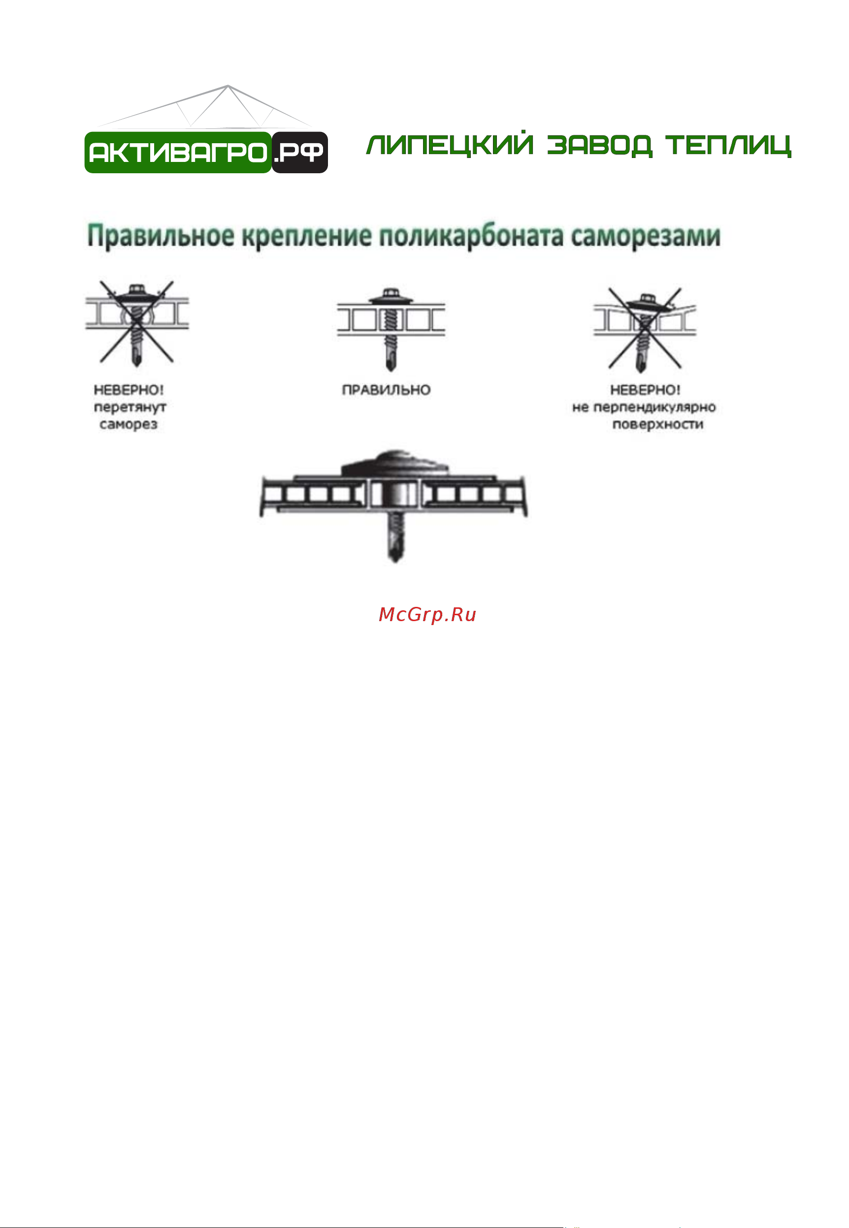АКТИВАГРО.РФ Ударница англичанка 20x20 мм, 3x4 м, шаг 0.65 м 184 Инструкция по сборке онлайн [8/20] 872985