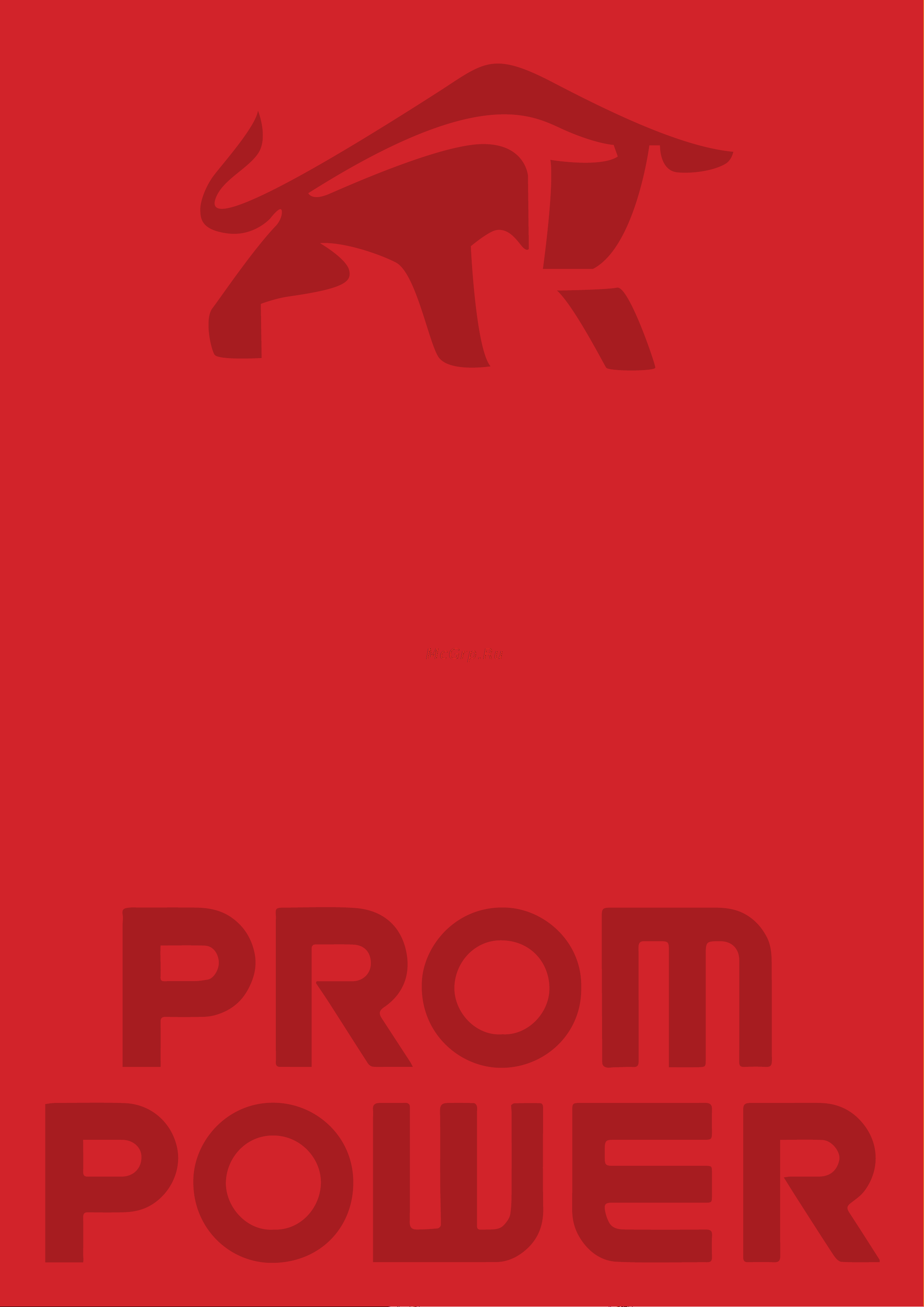 Prompower p2s-100-4-22-b-a, напряжение 400b, мощность 22 квт, 45а P2S100422BA Руководство по эксплуатации онлайн