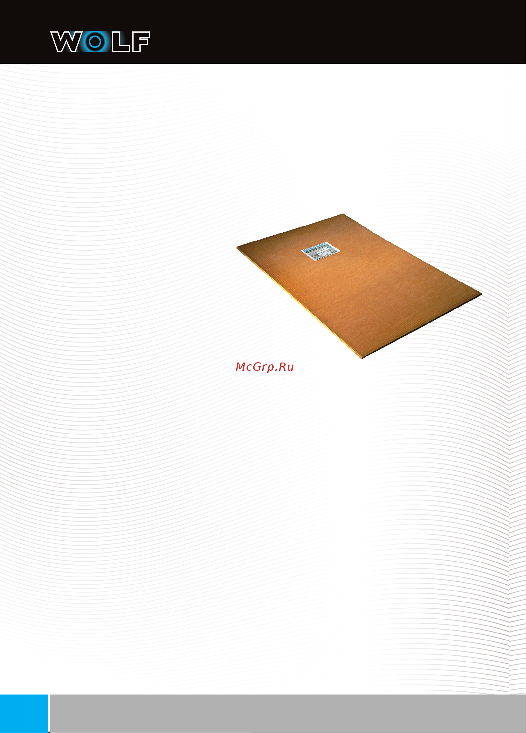 PhoneStar (ФонСтар) ST12 4631157238952 Инструкция онлайн [2/20] 860296