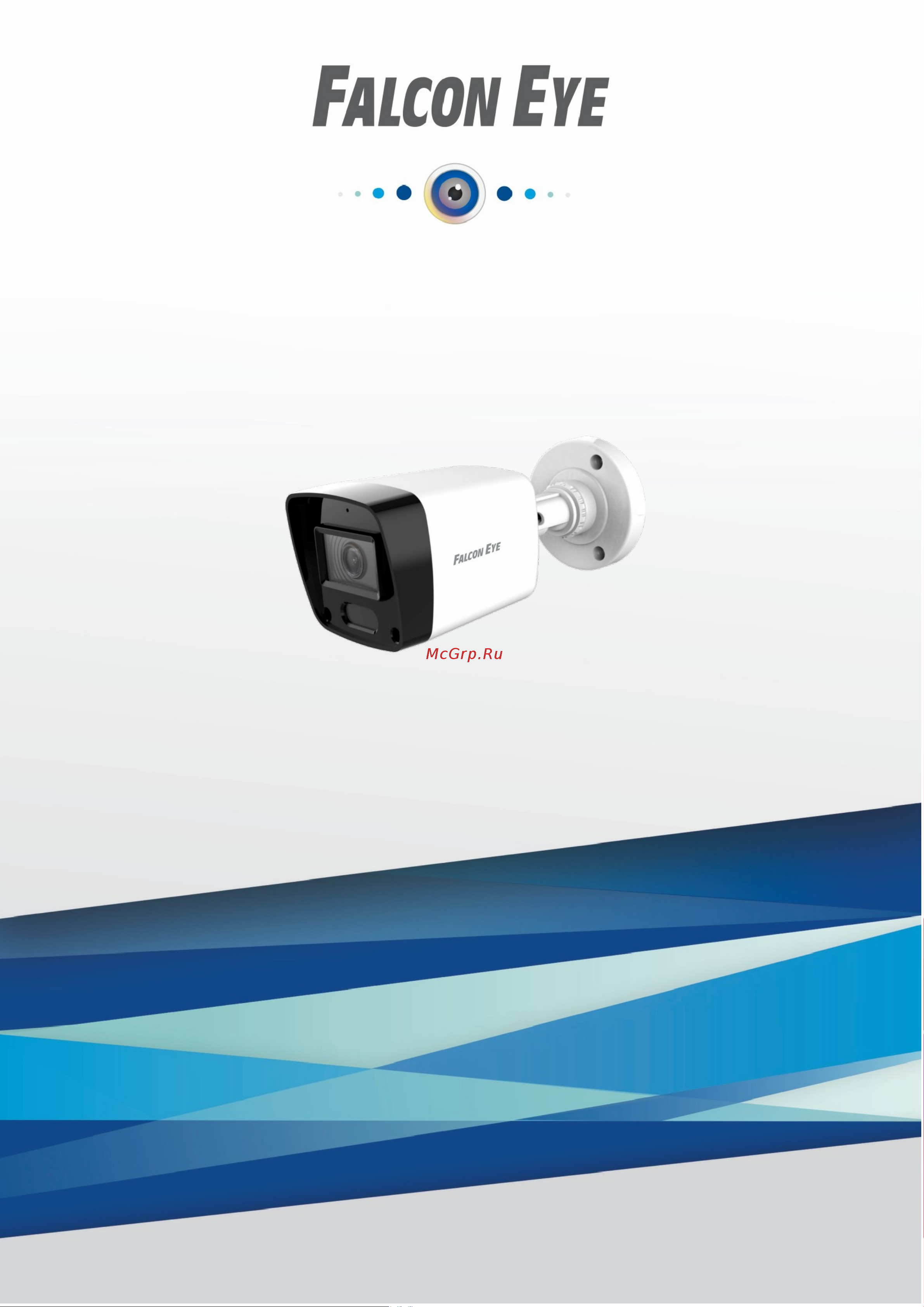 Falcon Eye FE-IB4-30 с функцией «День/Ночь» 00-00295444 Описание онлайн