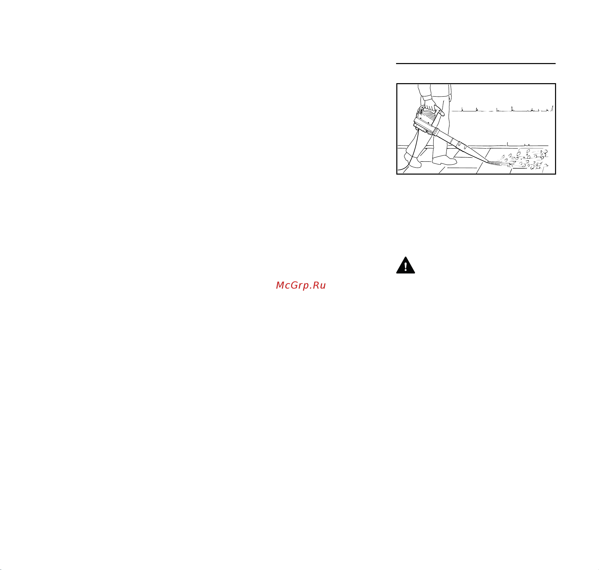 Stihl BGE 81 48110111551 Инструкция к Stihl BGE 81 48110111551 онлайн [121/272] 857789