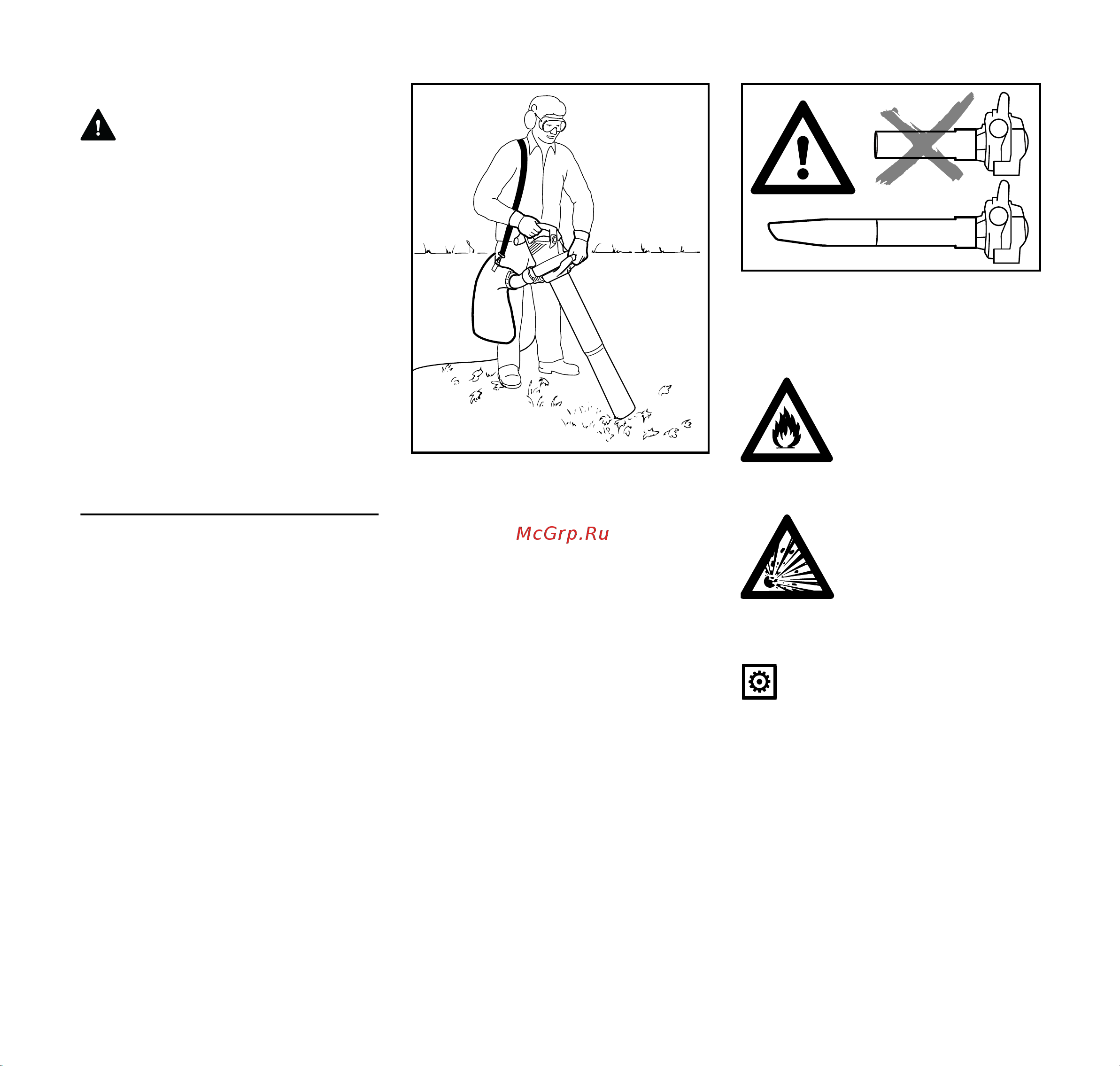 Stihl BGE 81 48110111551 Инструкция к Stihl BGE 81 48110111551 онлайн [219/272] 857789