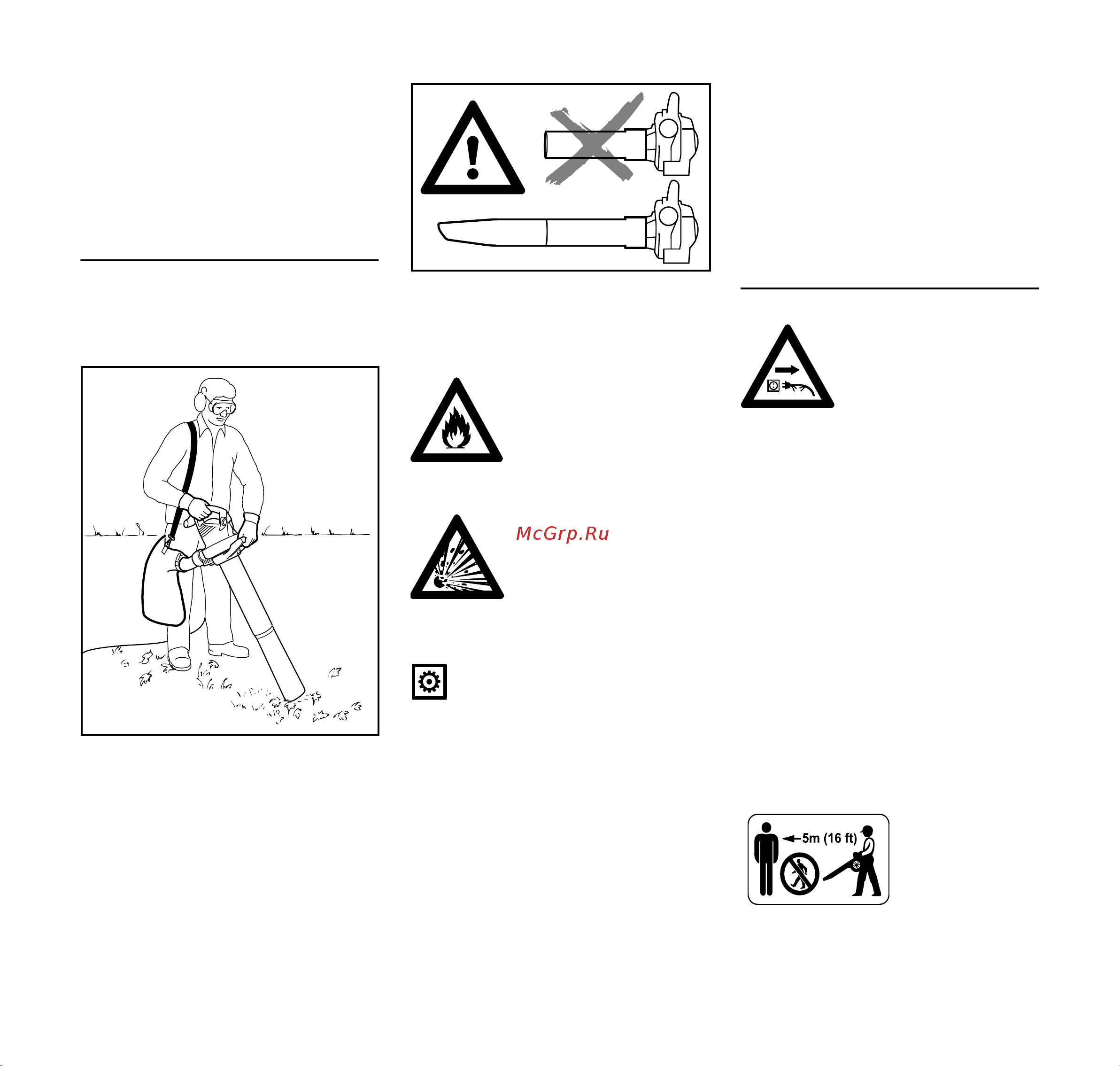 Stihl BGE 81 48110111551 Инструкция к Stihl BGE 81 48110111551 онлайн [255/272] 857789