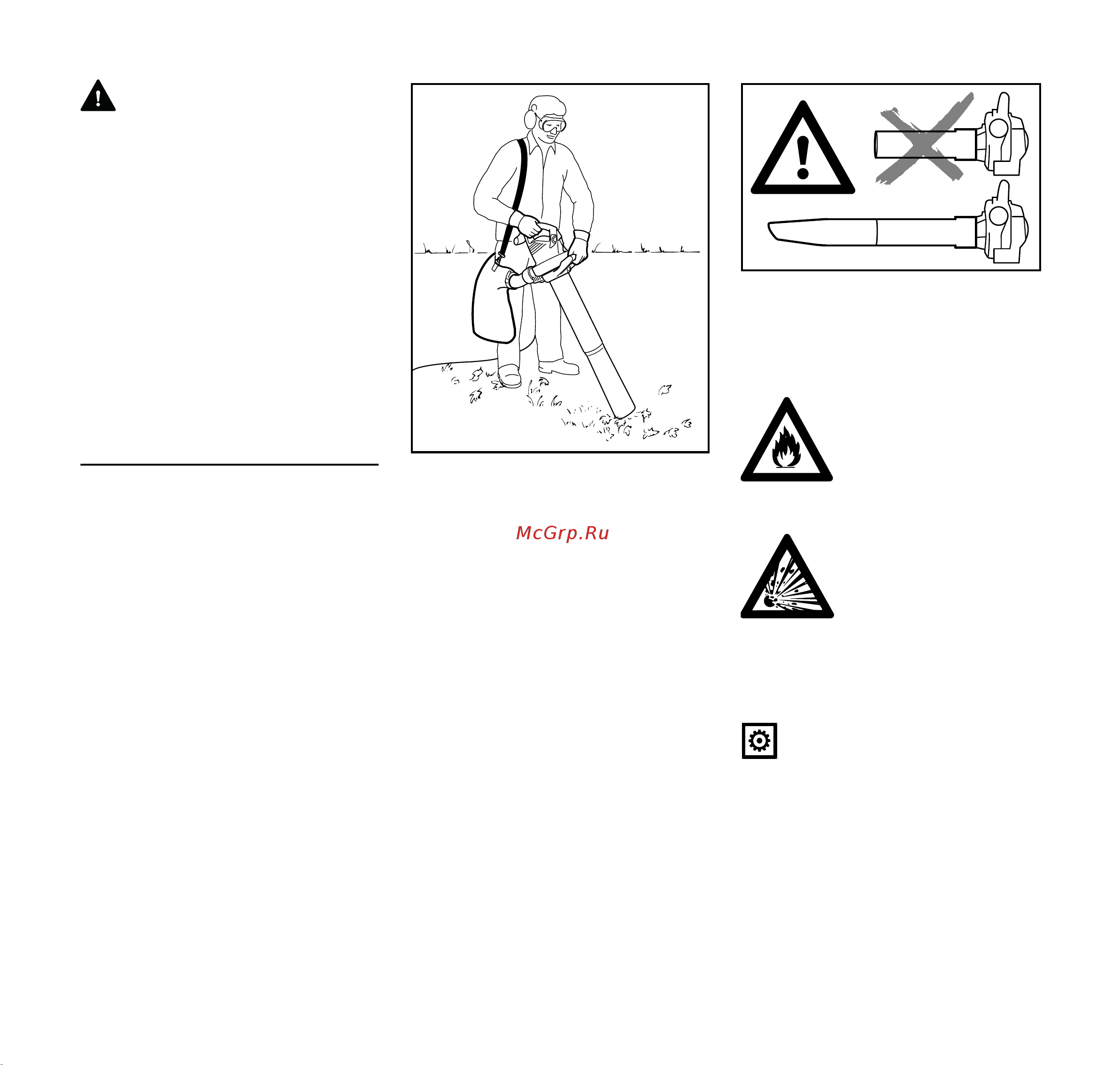 Stihl BGE 81 48110111551 Инструкция к Stihl BGE 81 48110111551 онлайн [45/272] 857789