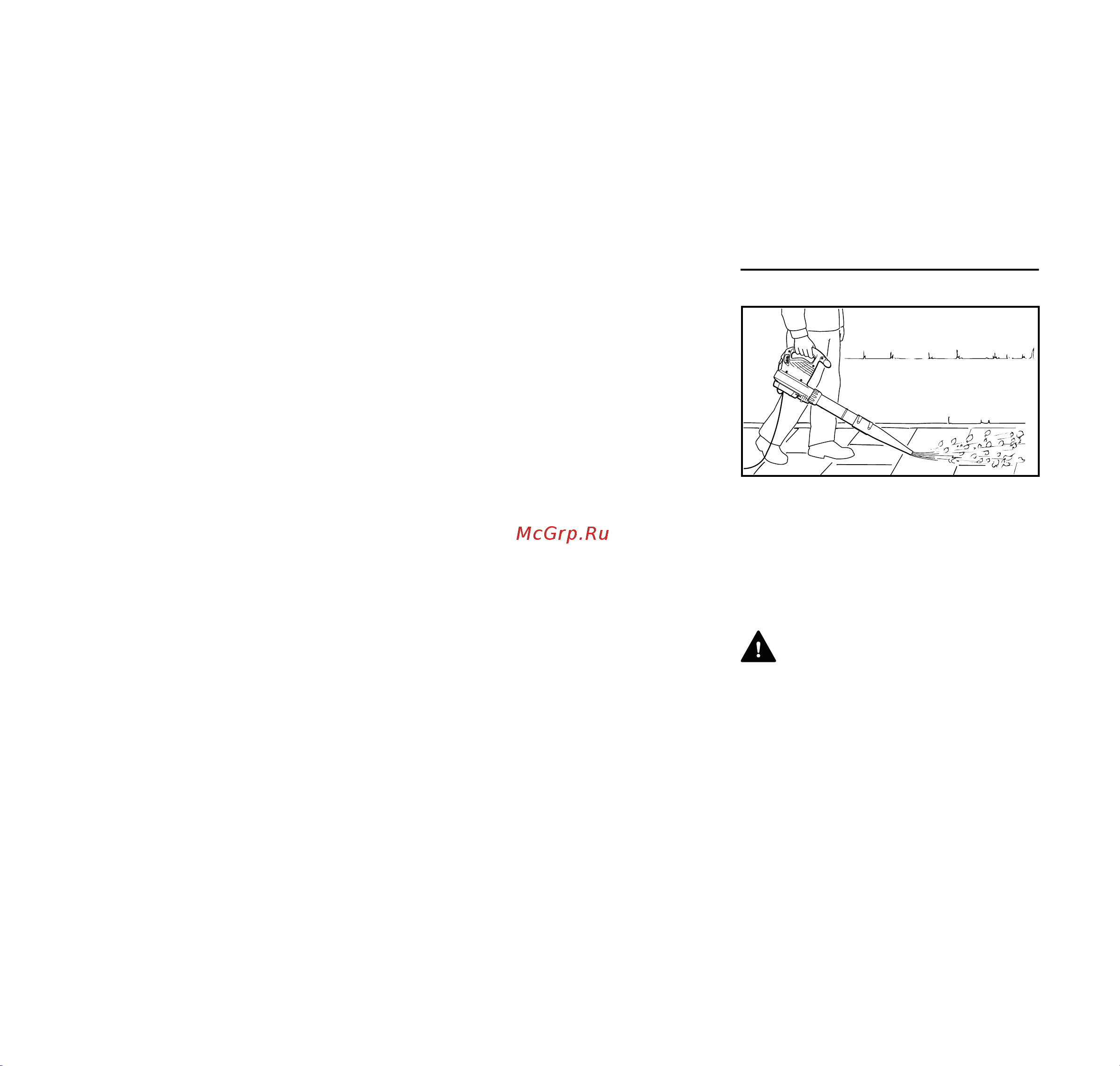 Stihl BGE 81 48110111551 Инструкция к Stihl BGE 81 48110111551 онлайн [63/272] 857789