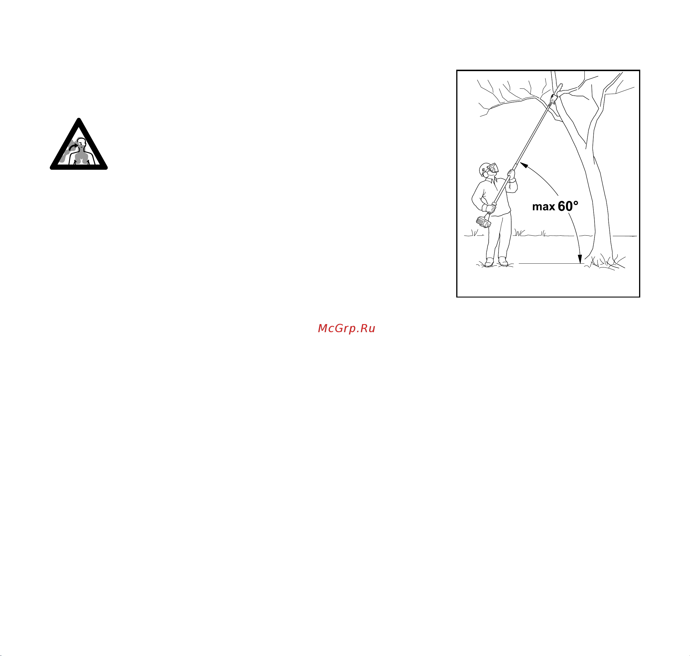 Stihl HT-103 41822000141 Инструкция к Stihl HT-103 41822000141 онлайн [9/48] 858785