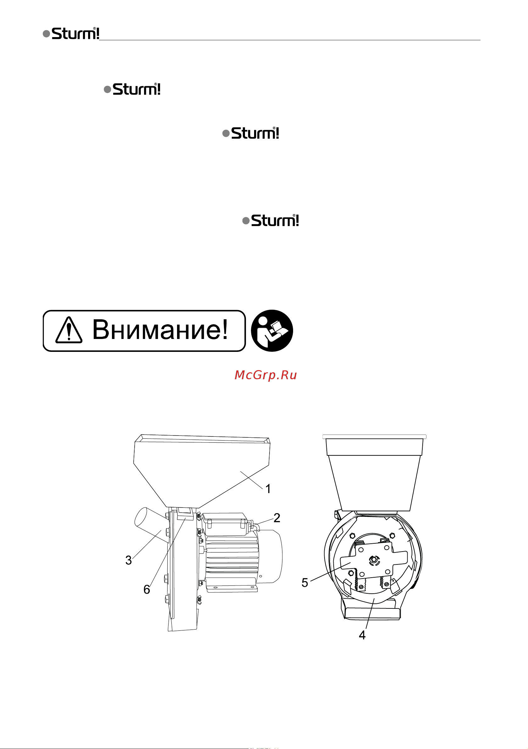 Sturm HM2500 Инструкция к Sturm HM2500 онлайн [3/13] 859936