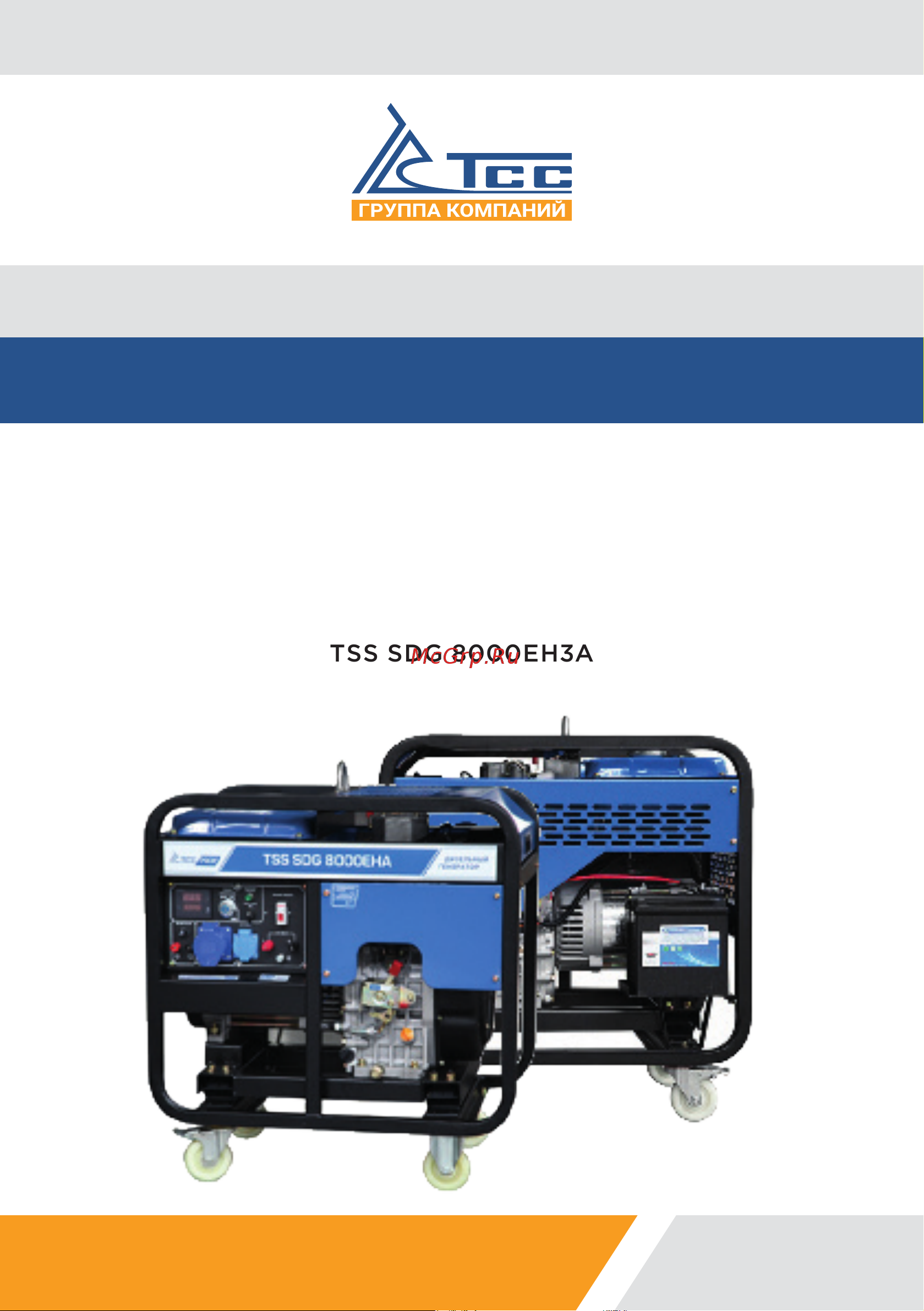 Тсс SDG 6500EHA 100048 Руководство по эксплуатации онлайн