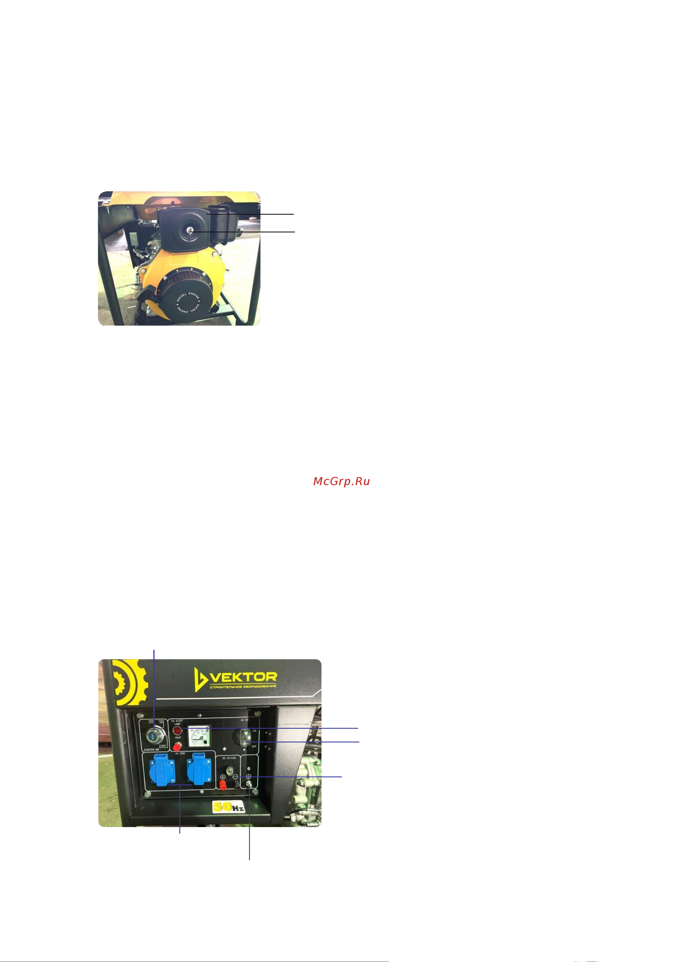 Вектор dg-5000 00-00004839 Инструкция генераторы DG онлайн [8/24] 861391