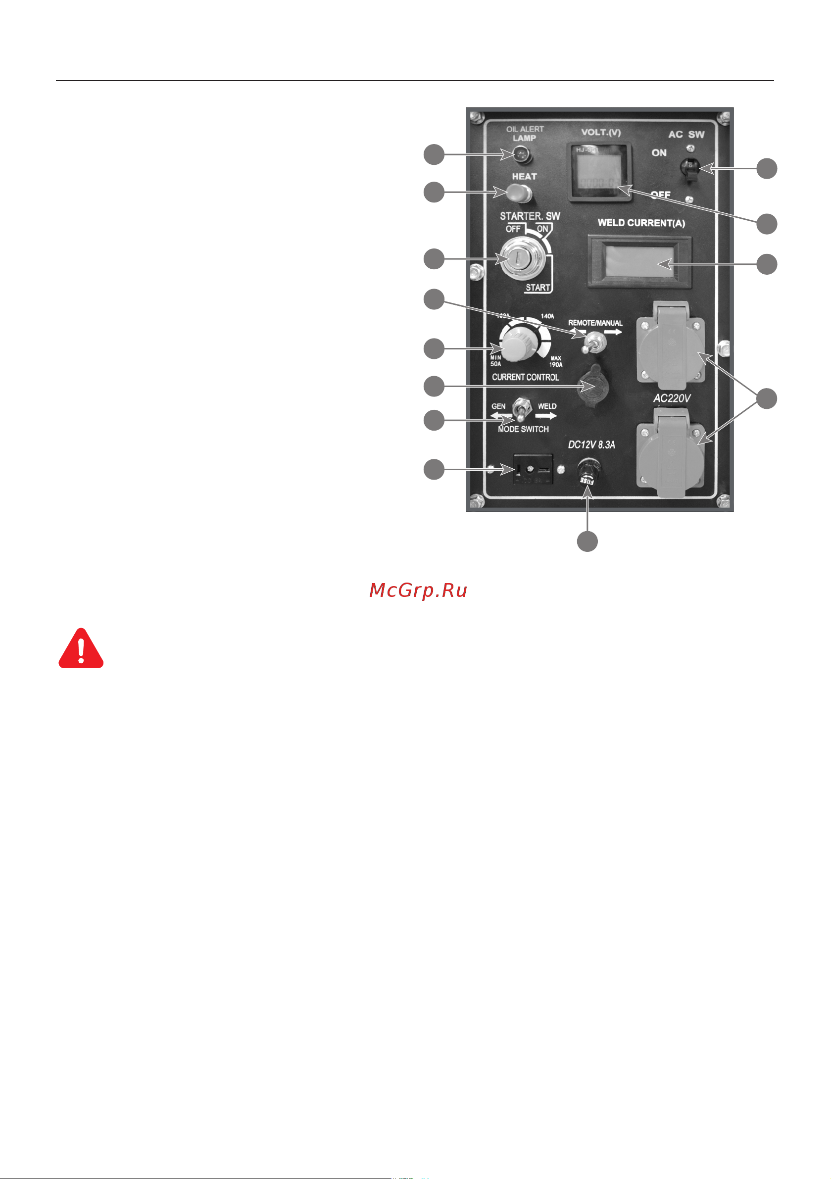 Тсс TSS PRO DGW 3.0/250ES-R 022834 Руководство по эксплуатации онлайн [10/36] 861418