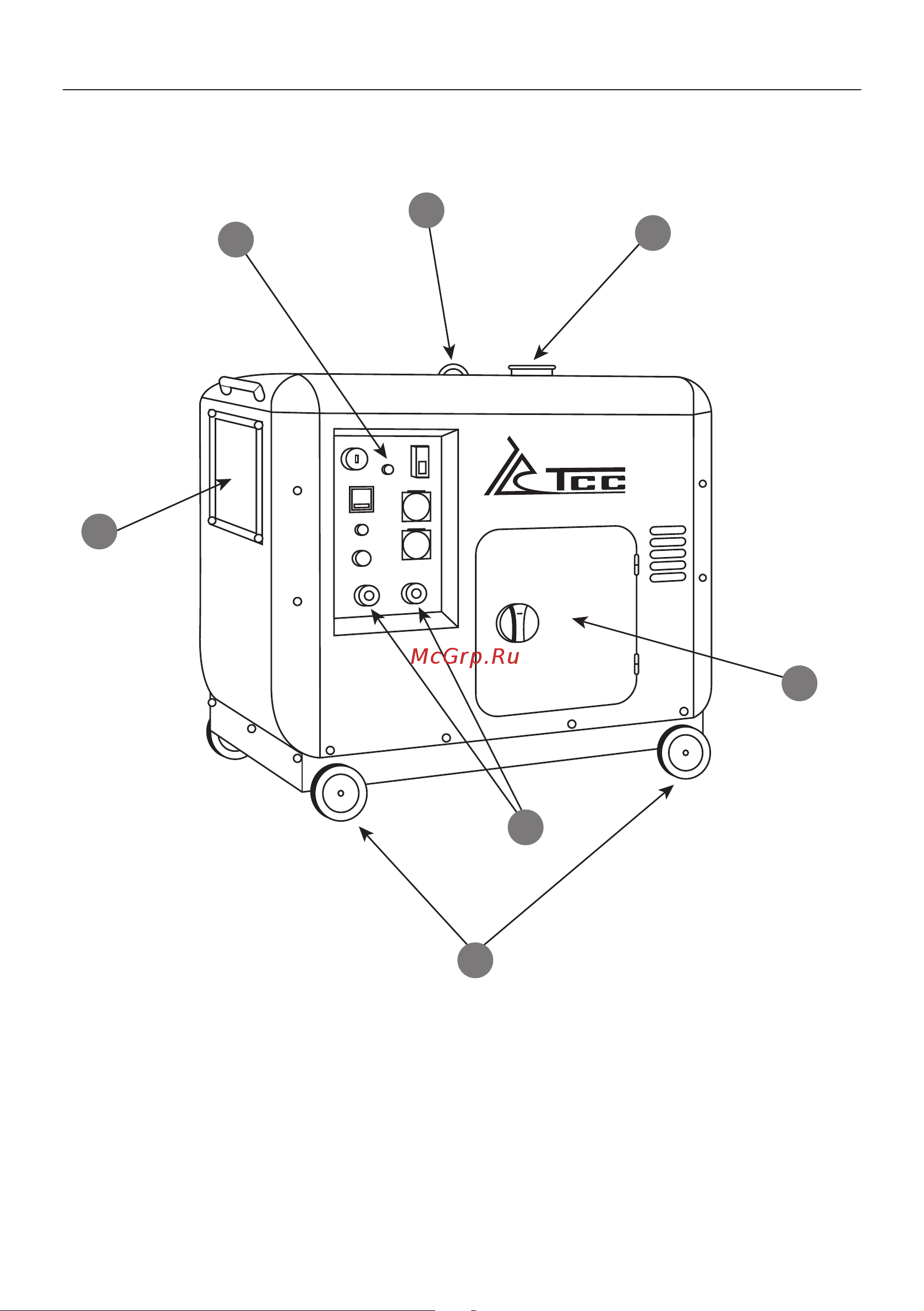Тсс TSS PRO DGW 3.0/250ES-R 022834 Руководство по эксплуатации онлайн [9/36] 861418