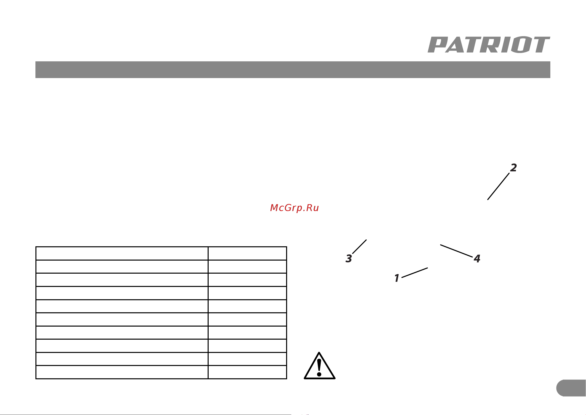 Patriot DM 100 120301100 Инструкция к товару онлайн [4/9] 863122