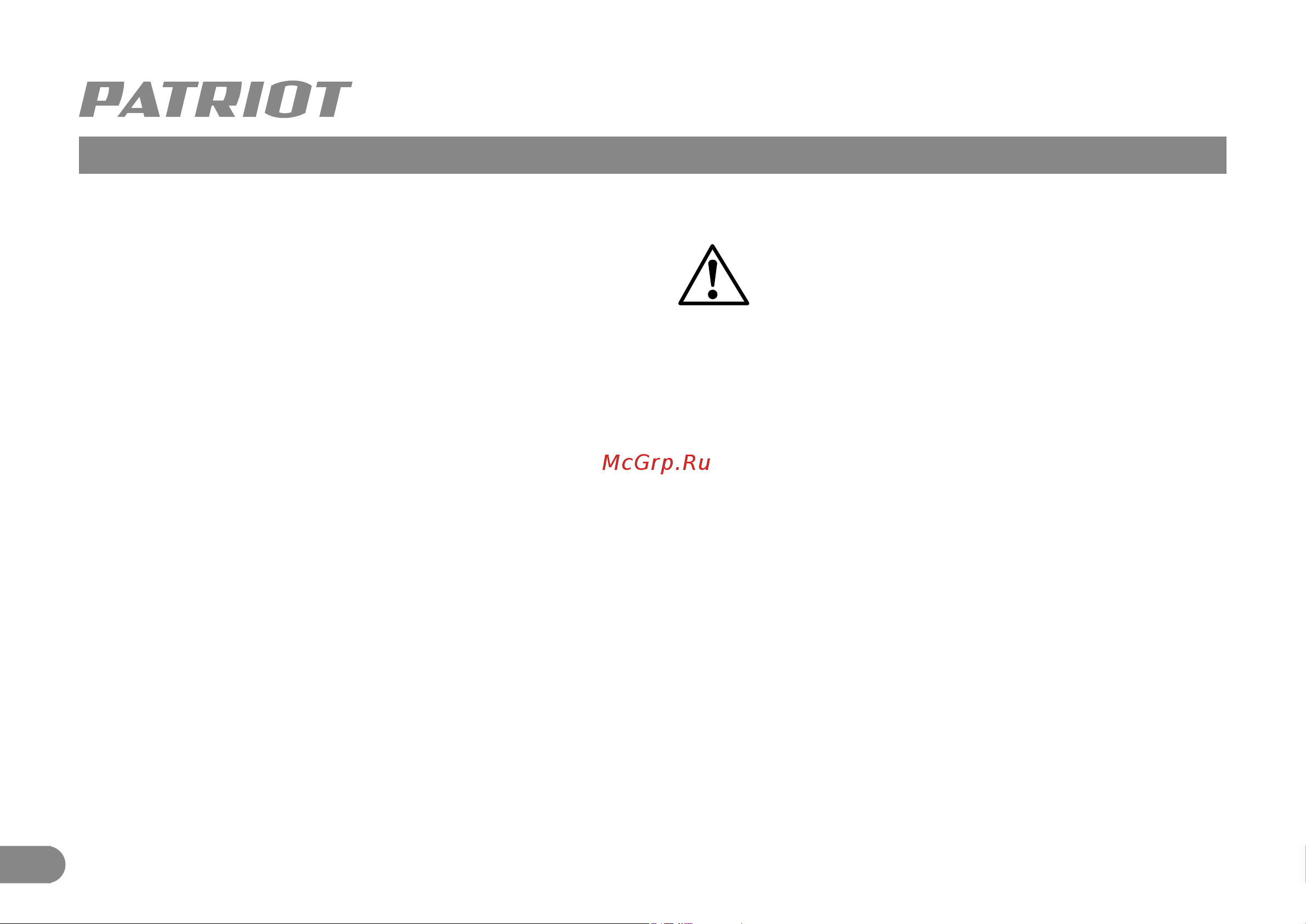 Patriot DM 100 120301100 Инструкция к товару онлайн [5/9] 863122