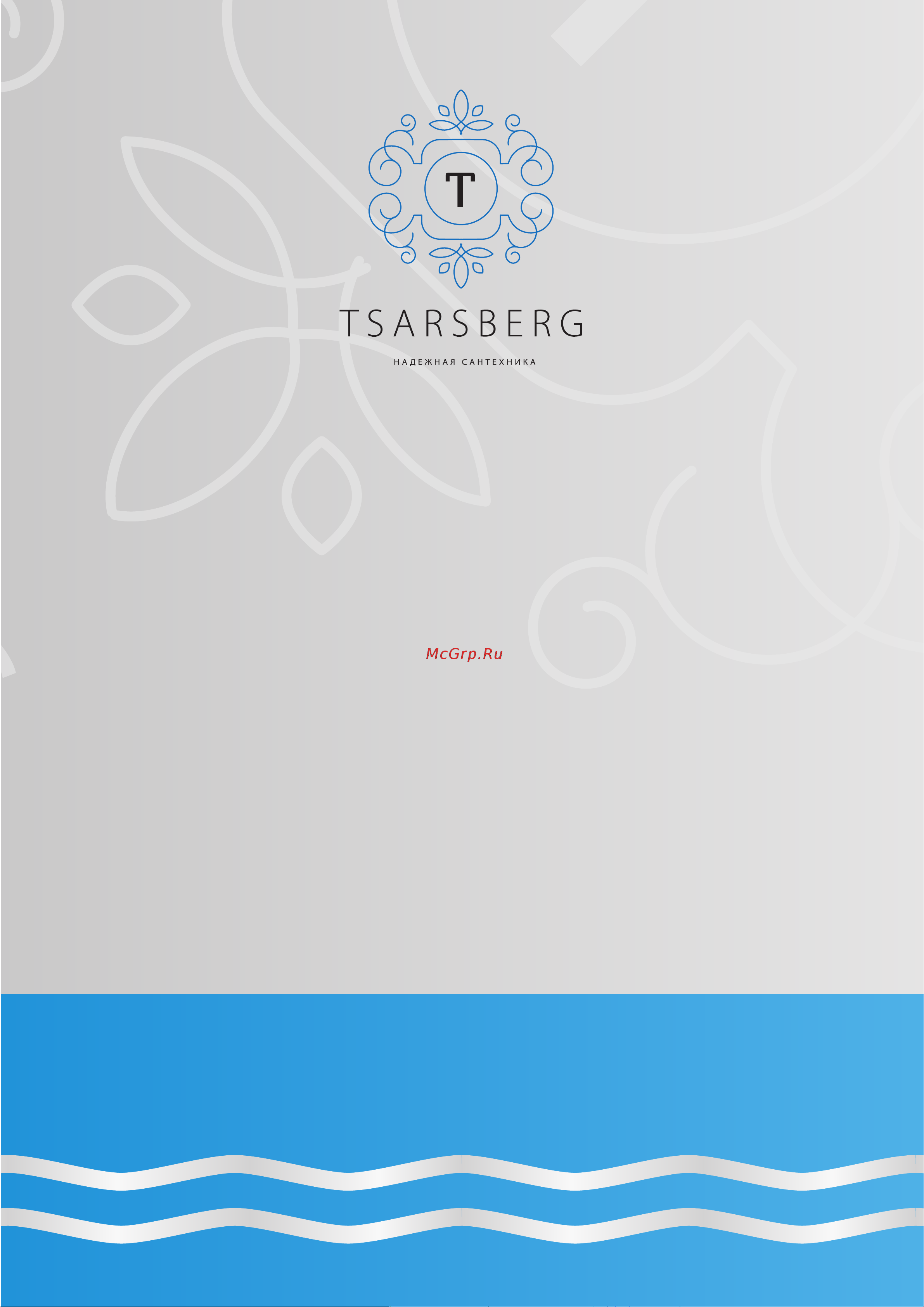Tsarsberg с душем TSB-WH1526 Паспорт изделия онлайн