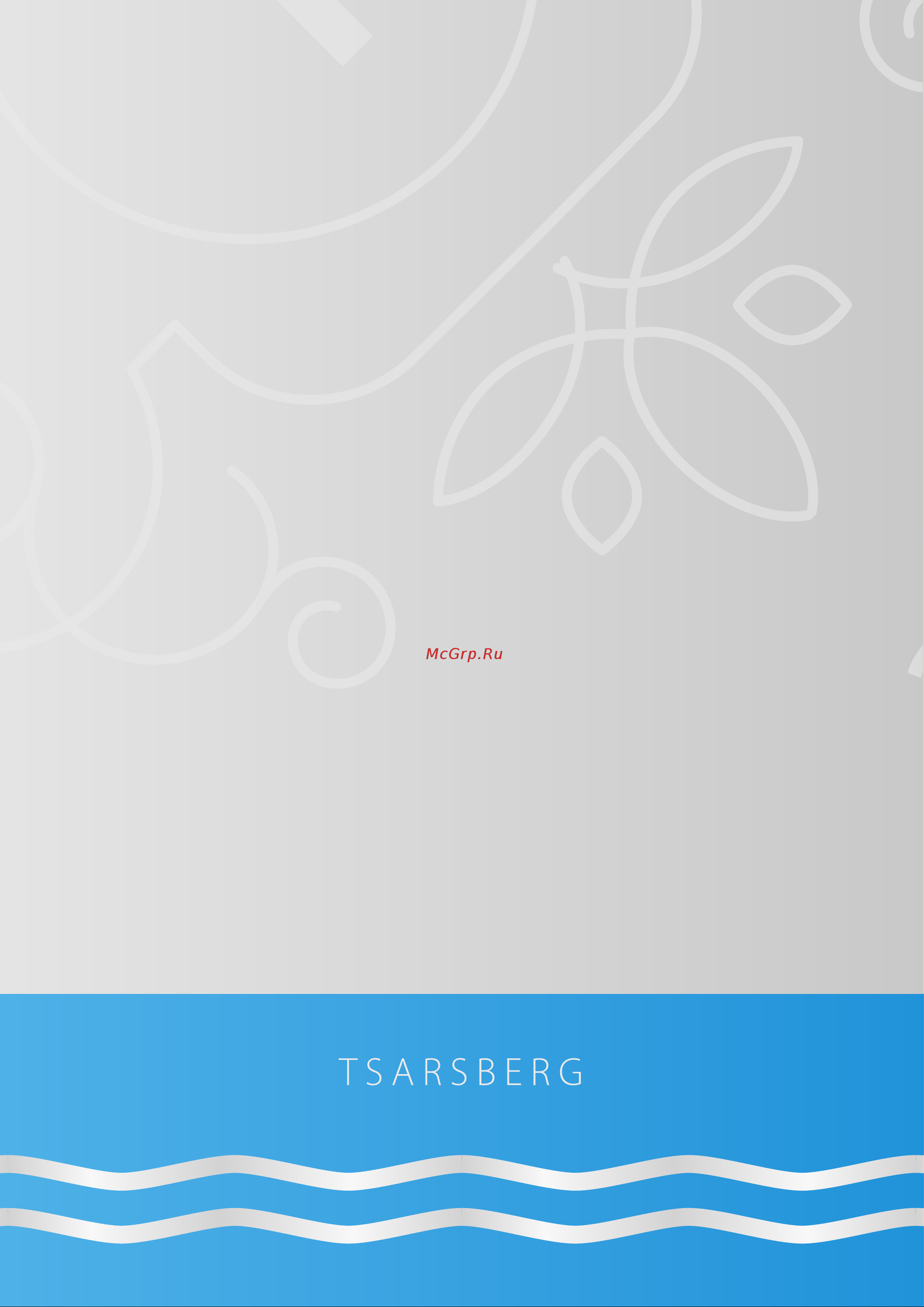 Tsarsberg TSB-WH1204 Паспорт изделия онлайн [8/8] 864561