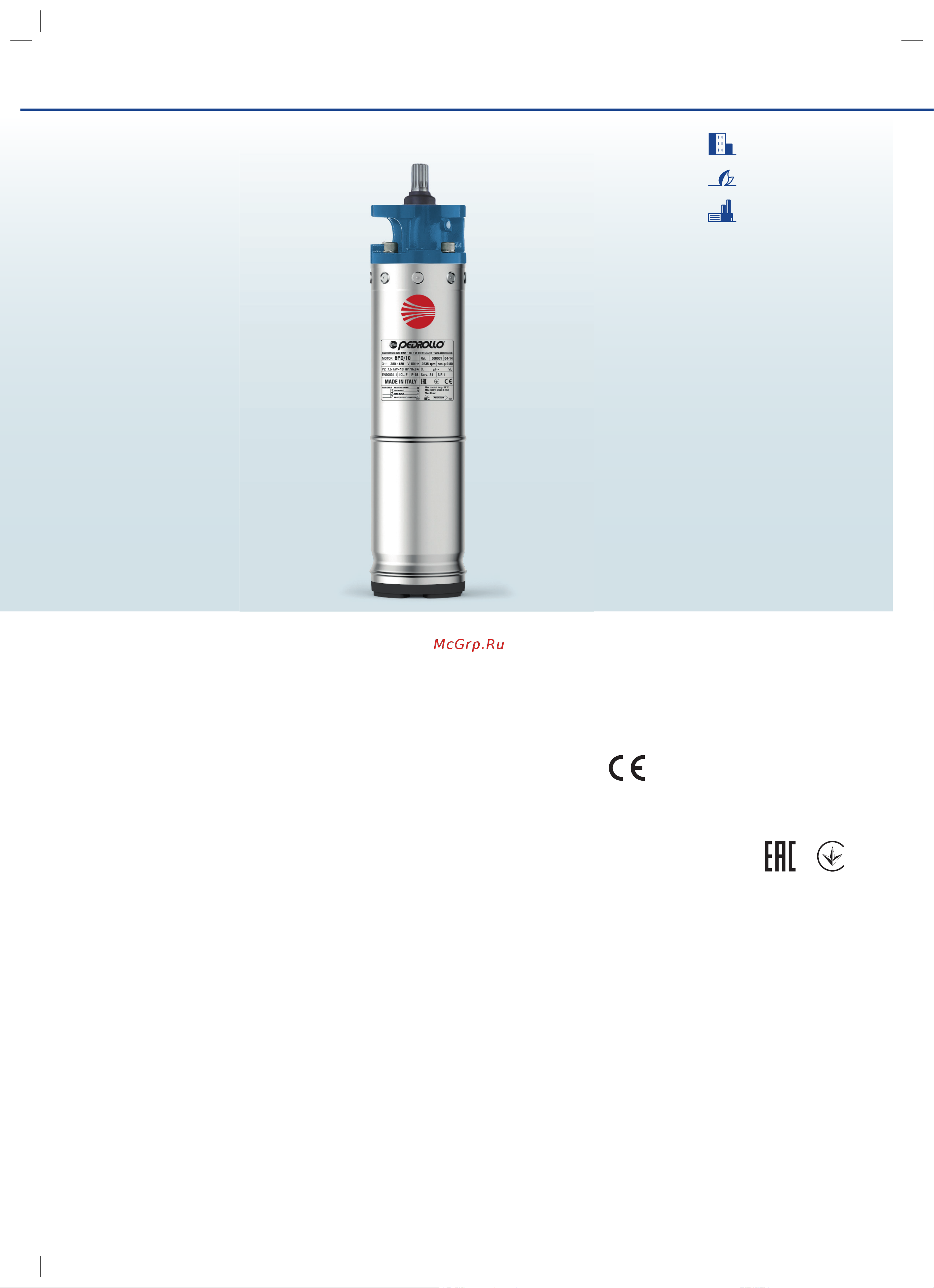 Pedrollo 6ZPC6300A Расширенное описание онлайн