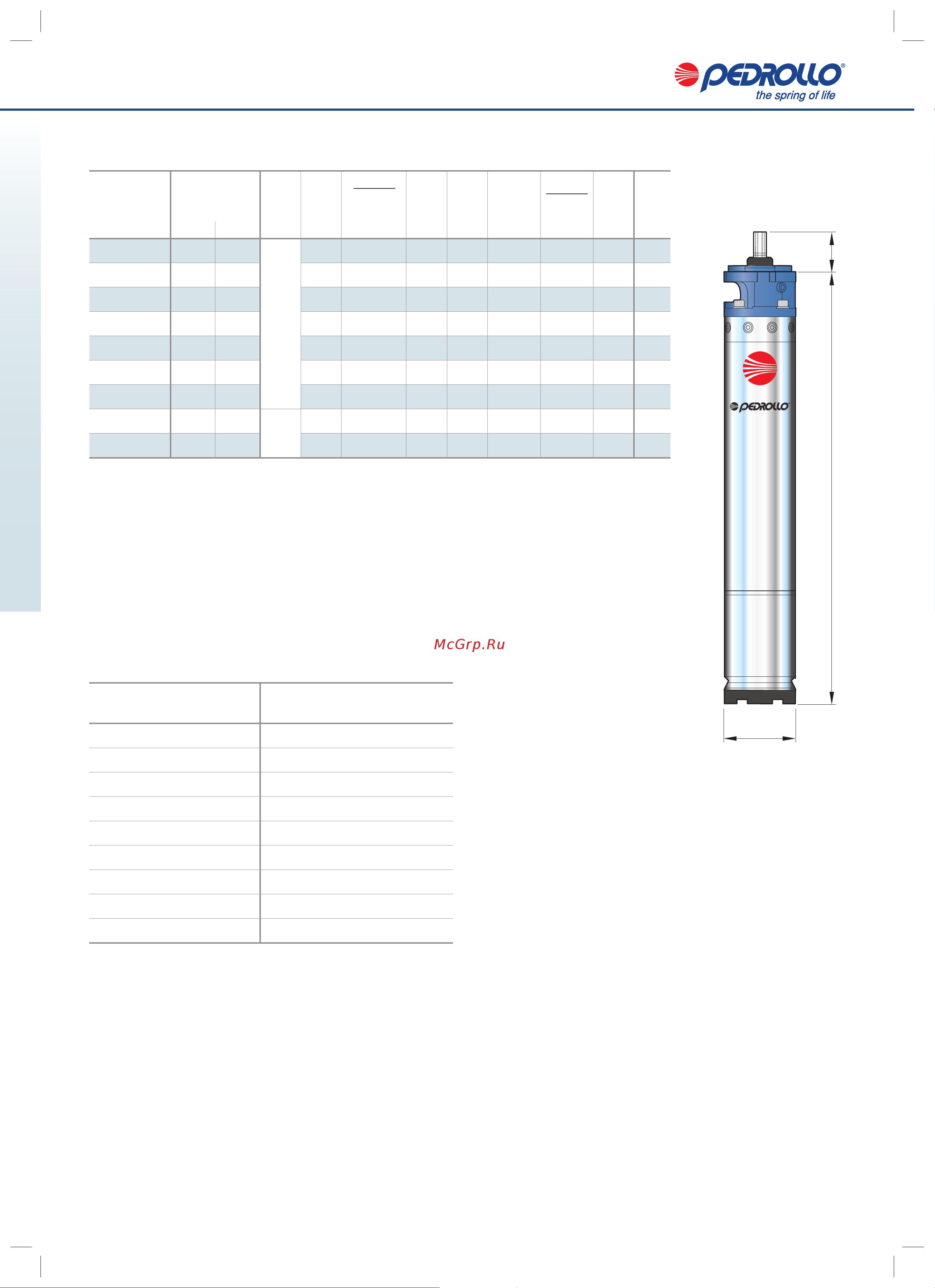 Pedrollo 6PD 10 6ZPC6100A Расширенное описание онлайн [2/2] 865078