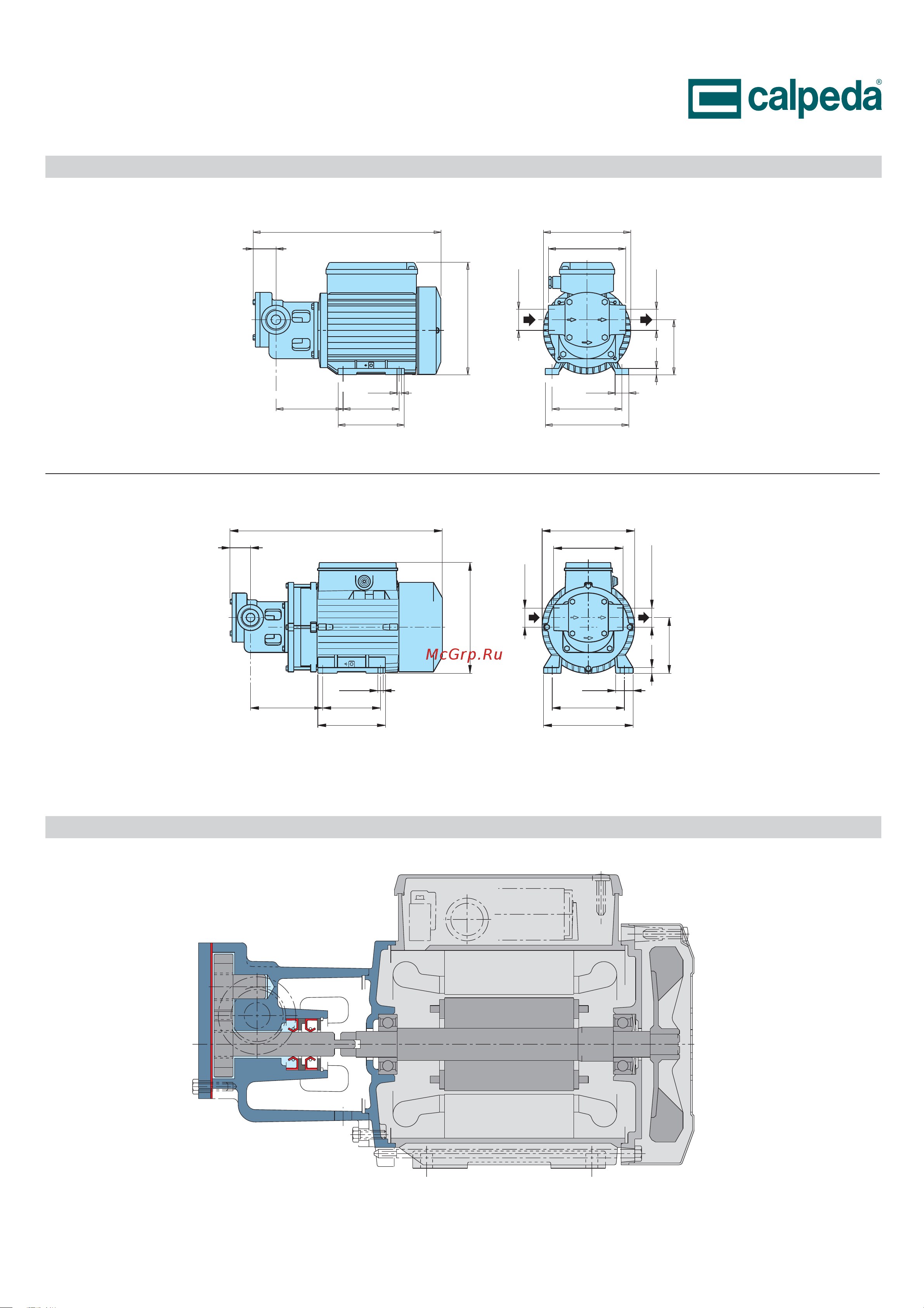 CALPEDA IRR 25/4/B 230/400/50 Hz 70H00073000 Расширенное описание онлайн [2/2] 865548