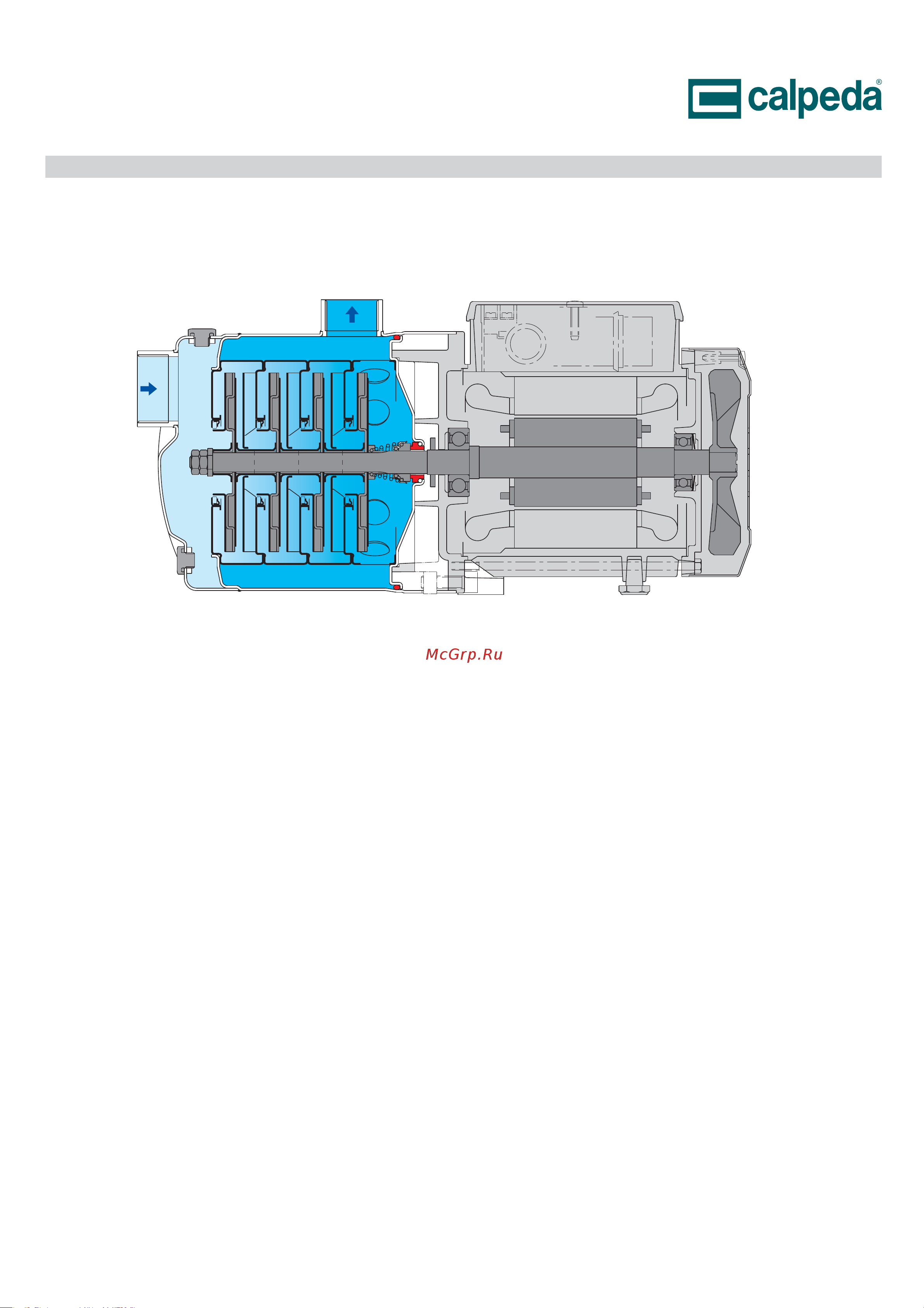 CALPEDA MXH 1605/B 400/690/50 Hz 62253051000 Расширенное описание онлайн [10/16] 865549