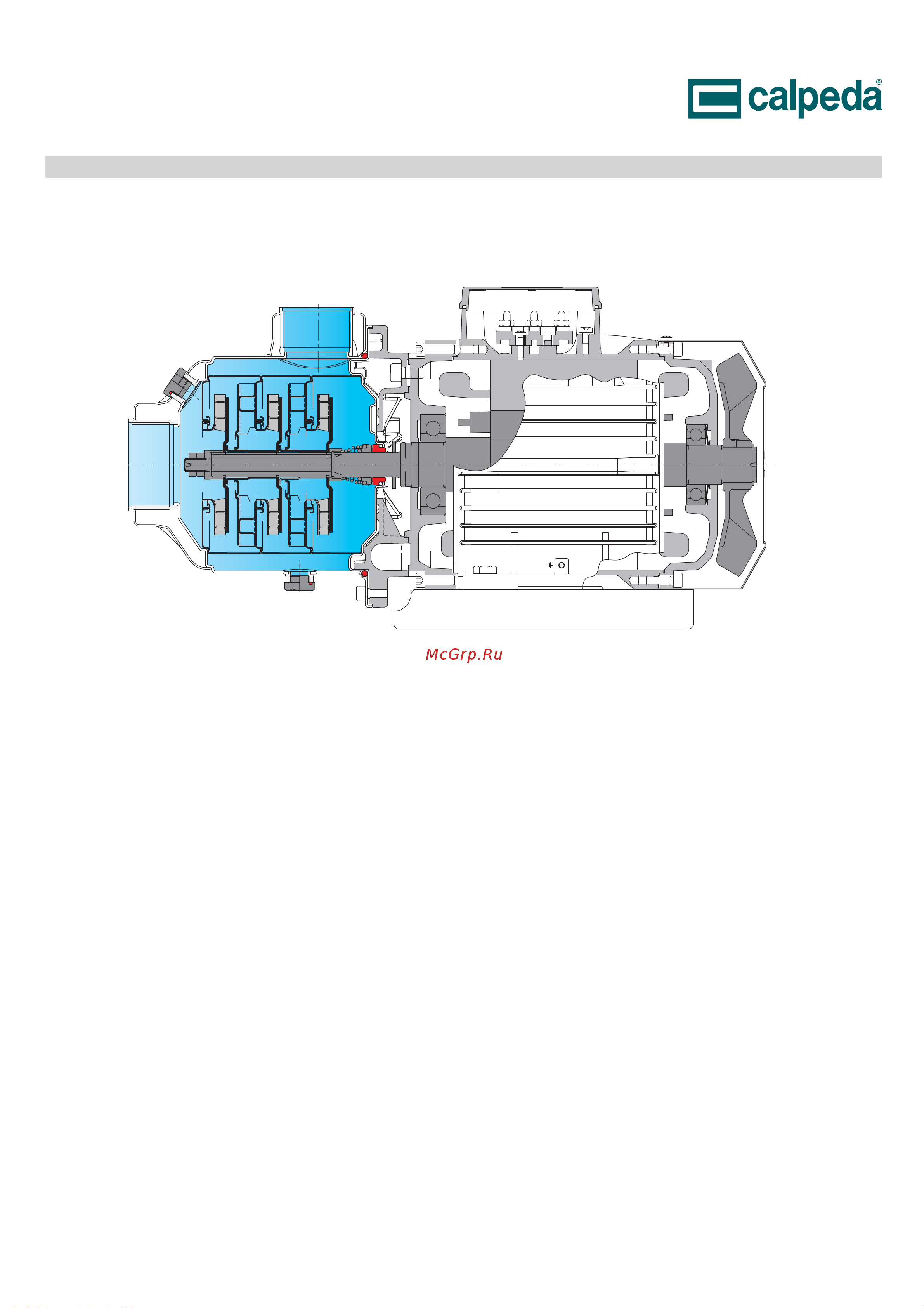 CALPEDA MXH 1605/B 400/690/50 Hz 62253051000 Расширенное описание онлайн [16/16] 865549