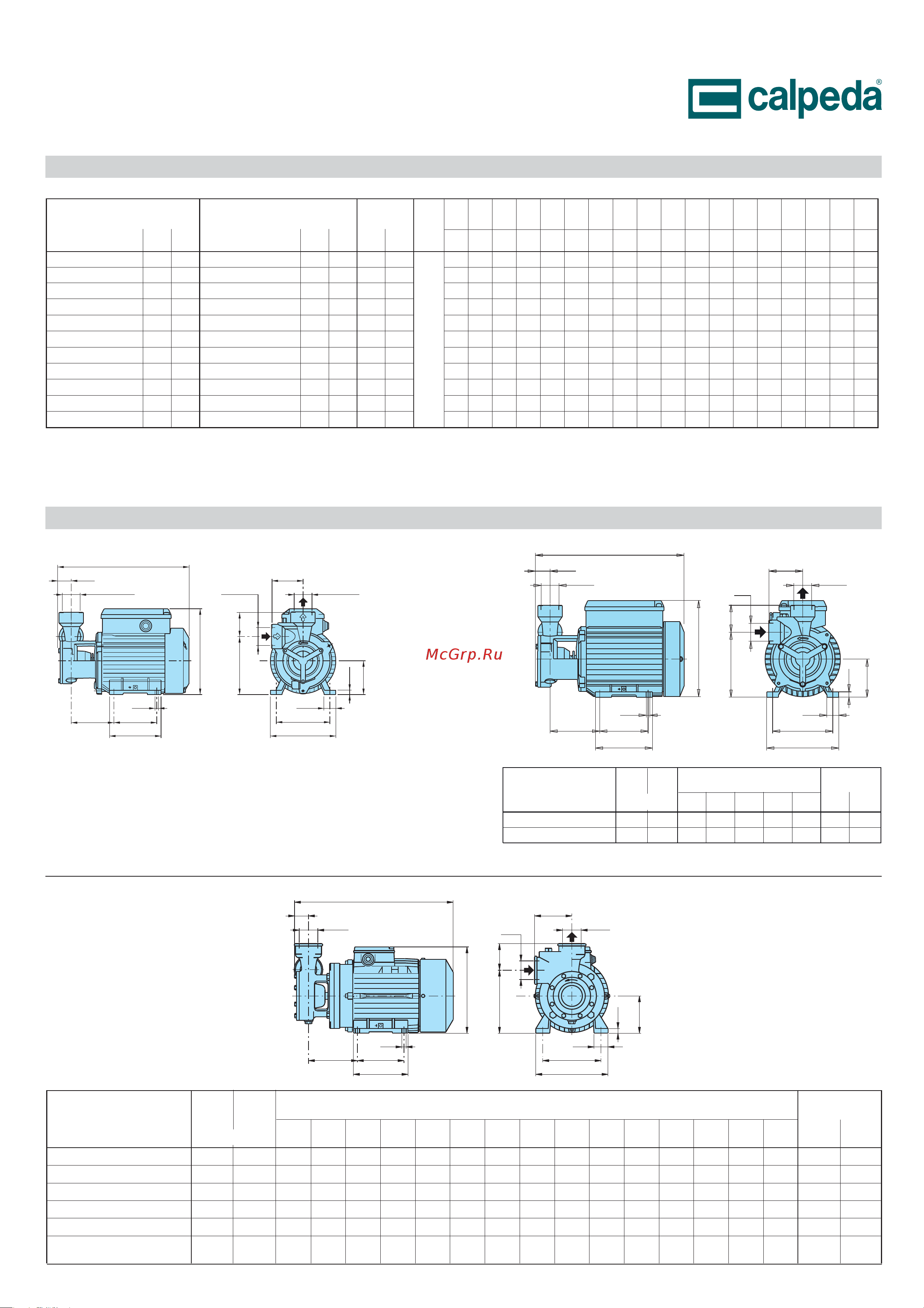 CALPEDA T 125/B 400/690/50 Hz 70000133000 Расширенное описание онлайн [2/6] 865555
